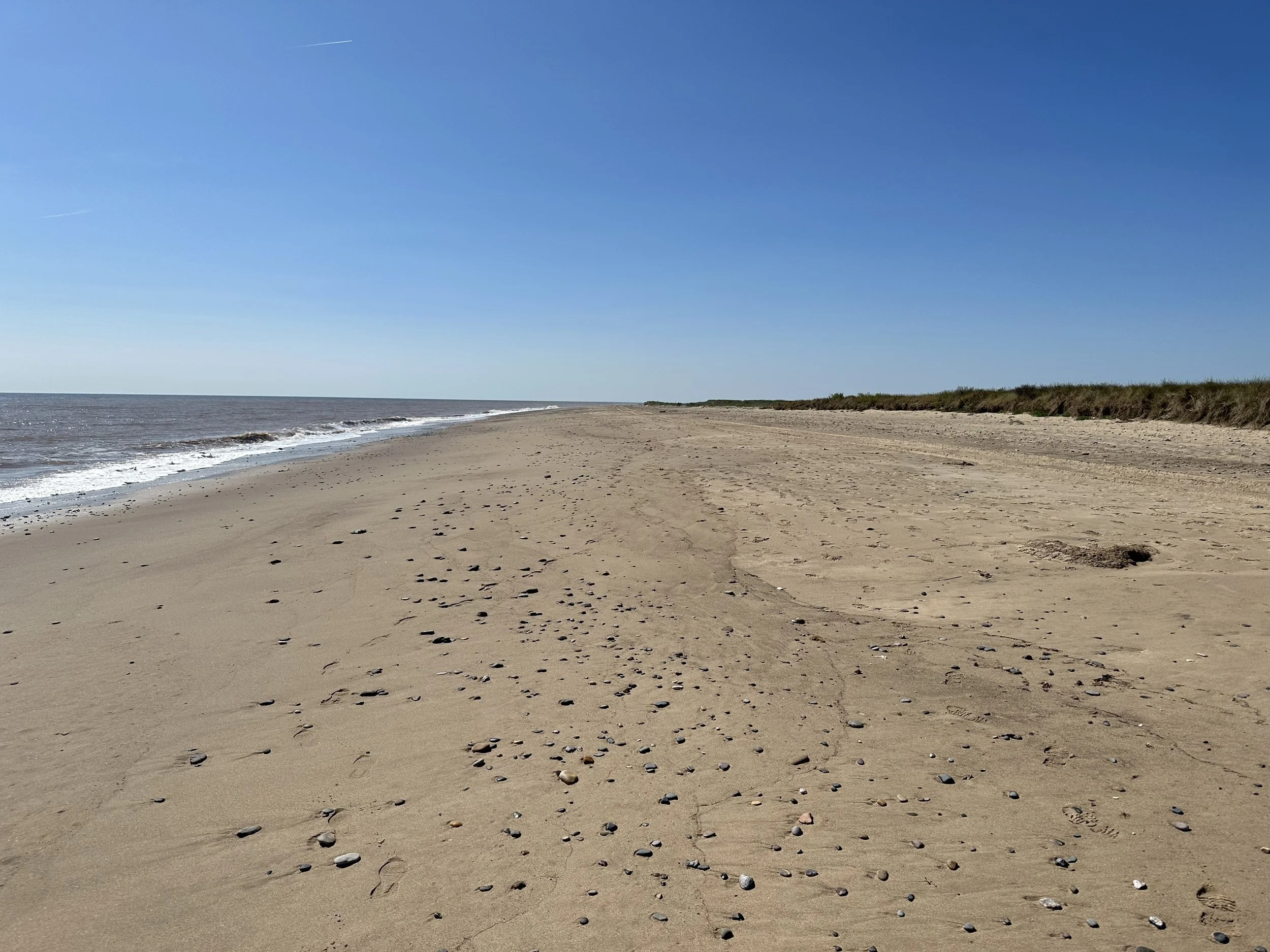 Empty sandy beach with scattered shells, overlooking the ocean under a clear blue sky.