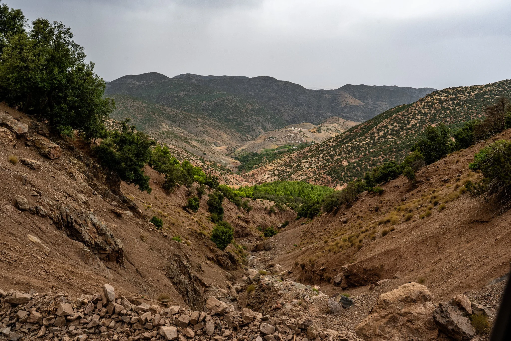 DSC_1156 4.jpg