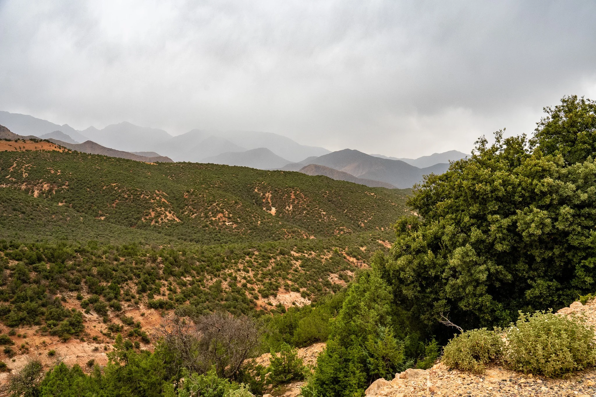 DSC_1247.jpg