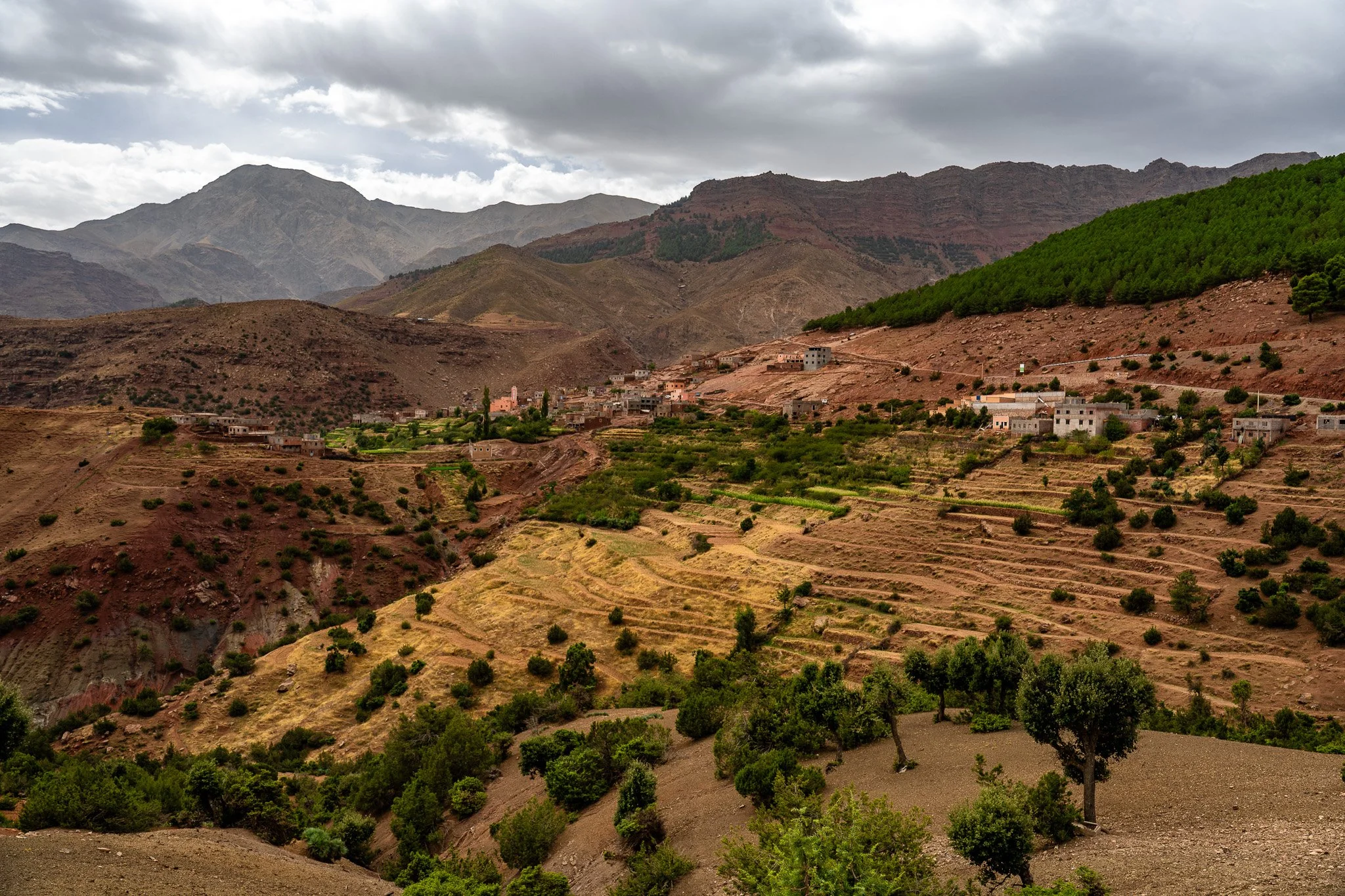DSC_1133.jpg