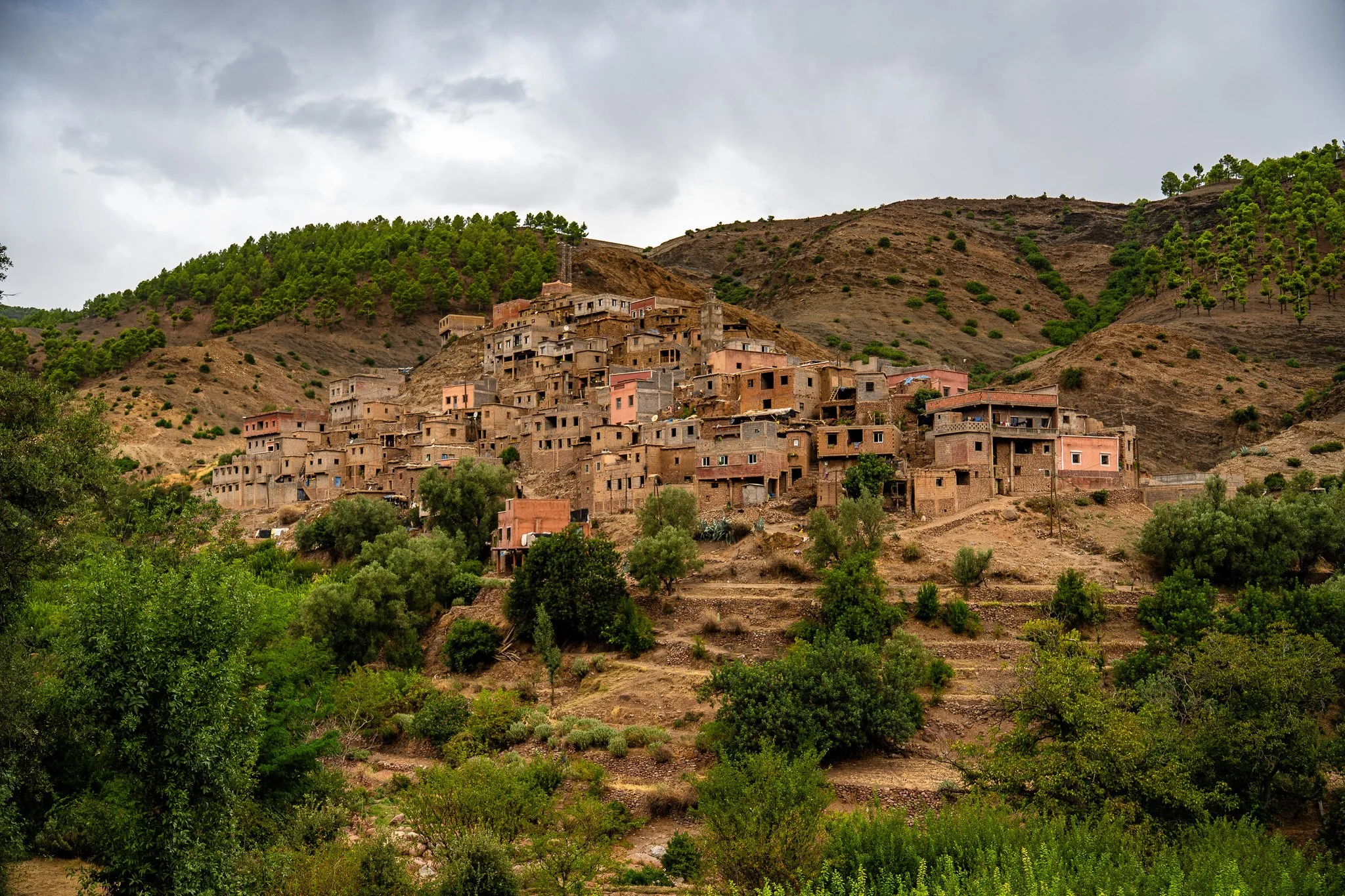 DSC_1102.jpg