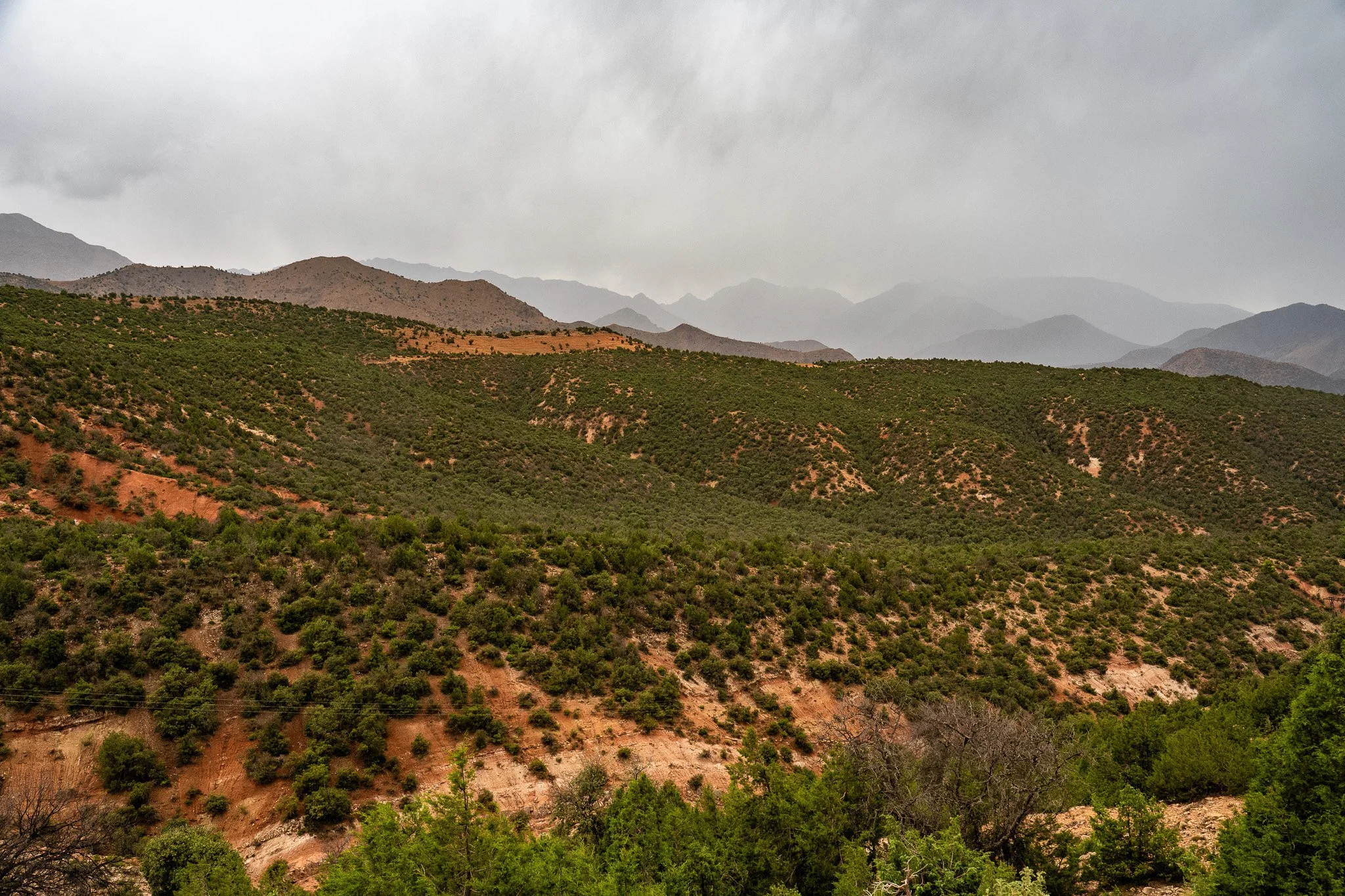 DSC_1246.jpg