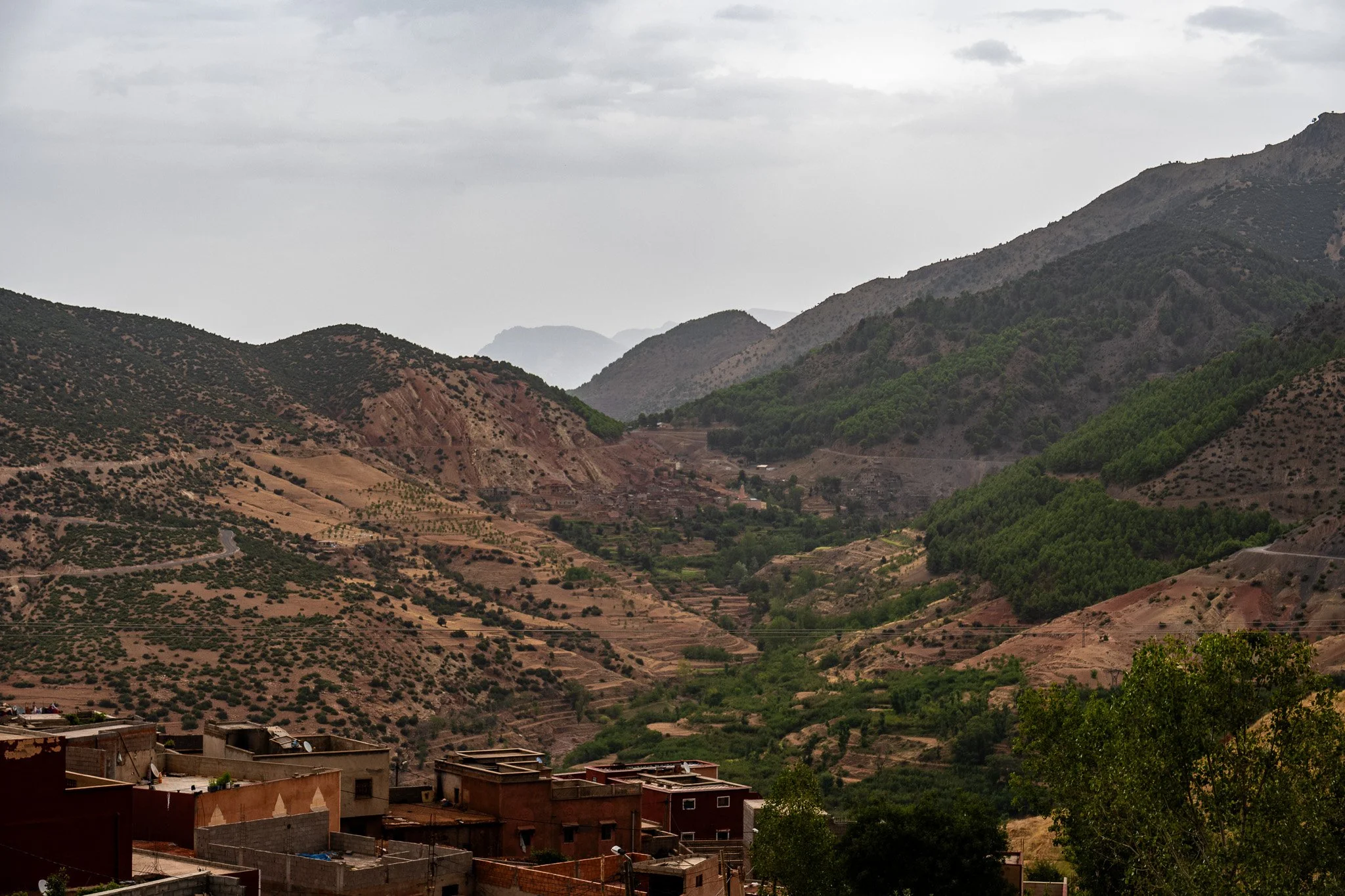 DSC_1236 3.jpg