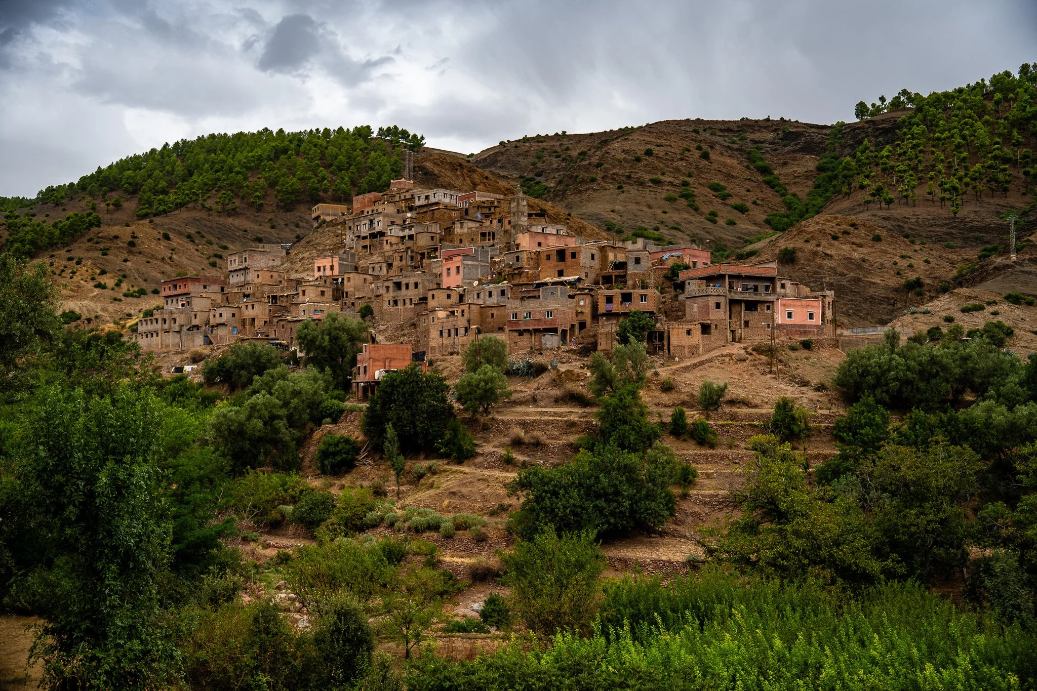 DSC_1111 3.jpg