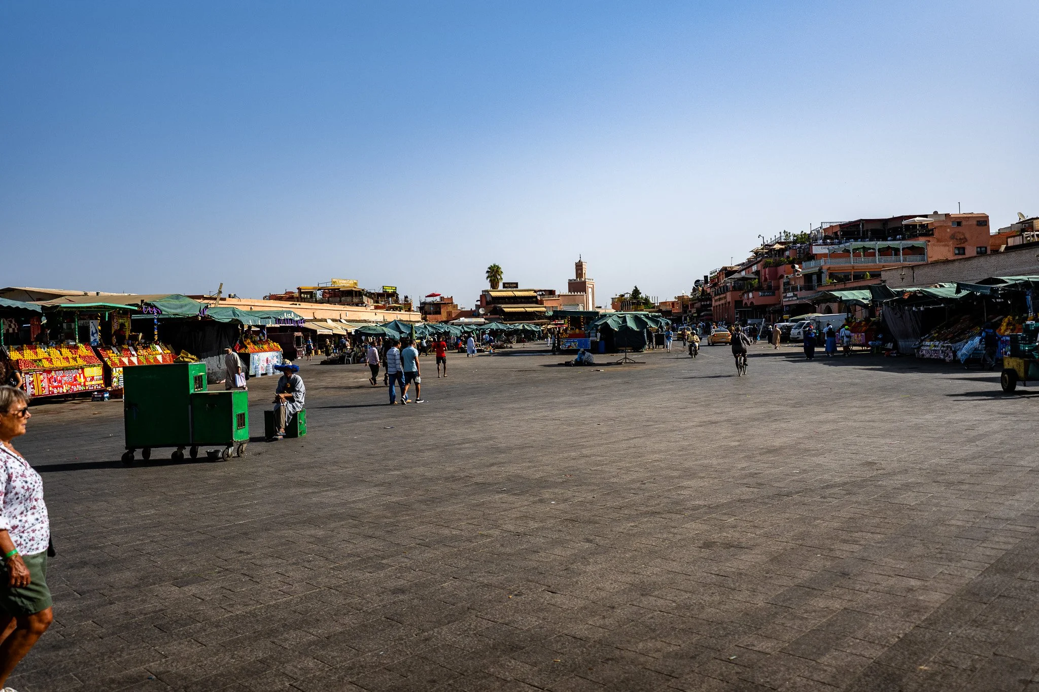 DSC_0994.jpg