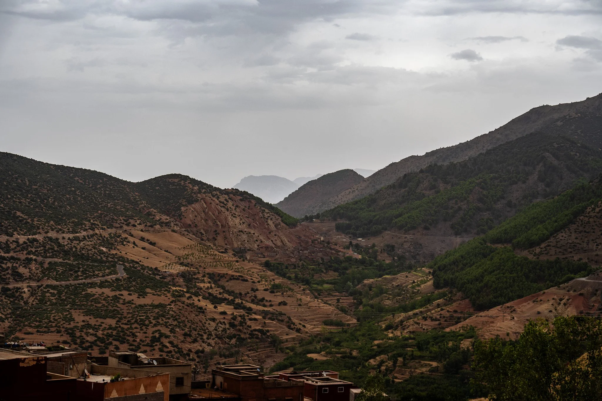 DSC_1235 2.jpg