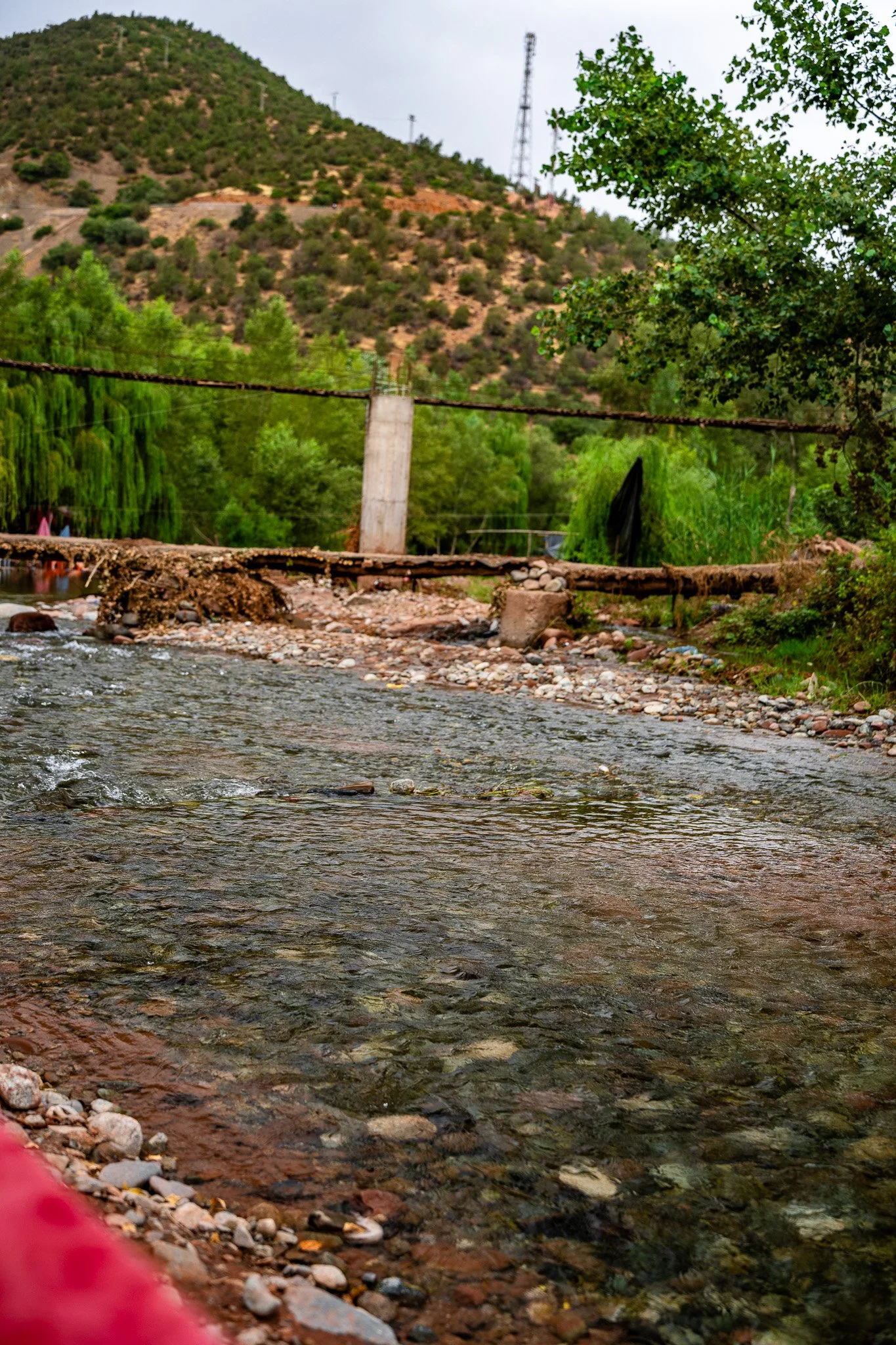 DSC_1099.jpg