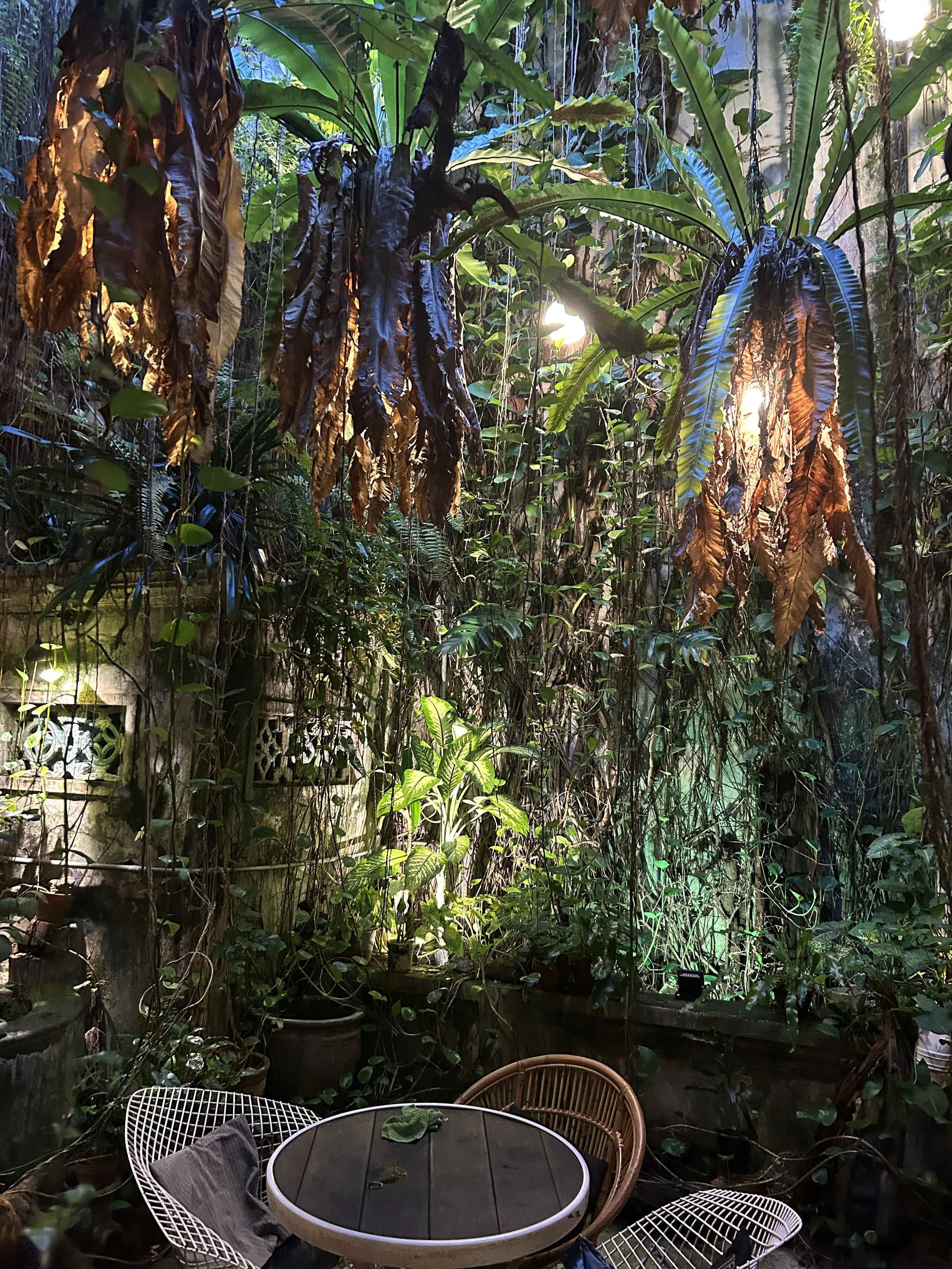 Indoor patio or garden area with lush green plants, hanging dried leaves, sunlight filtering through foliage, and a round table with chairs.