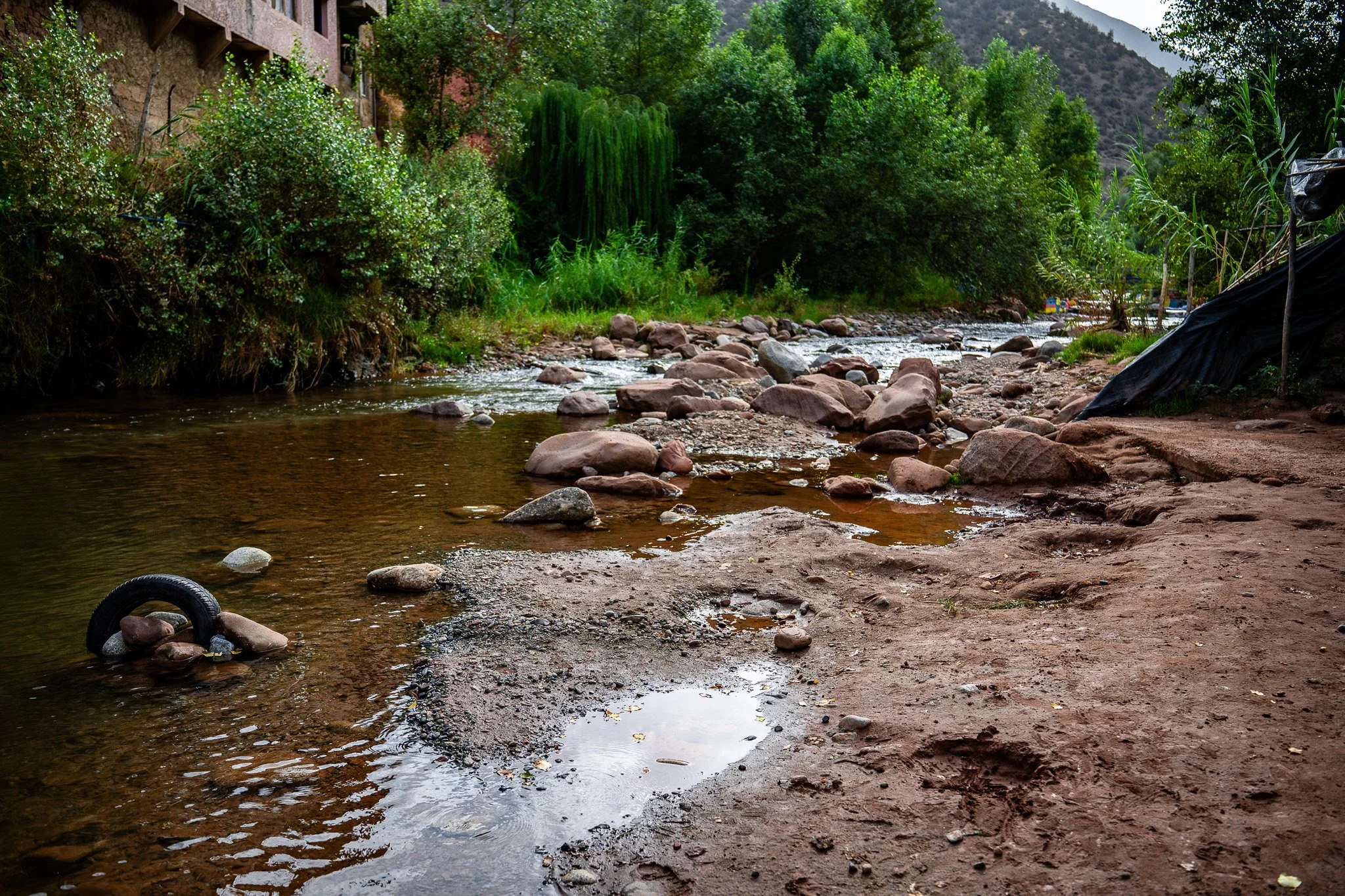 DSC_1060.jpg