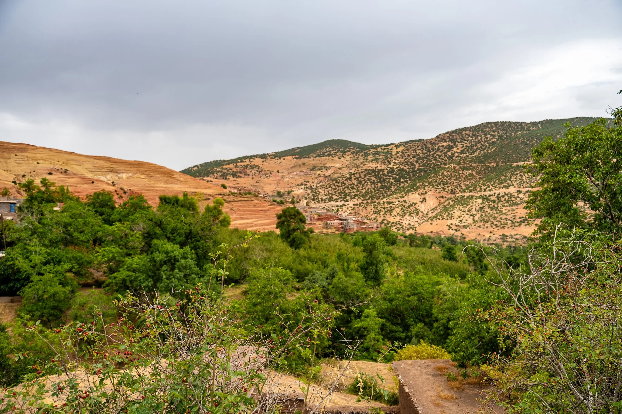 DSC_1185.jpg