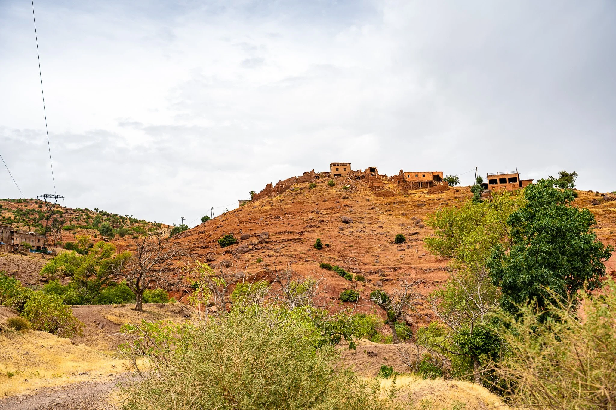 DSC_1201.jpg
