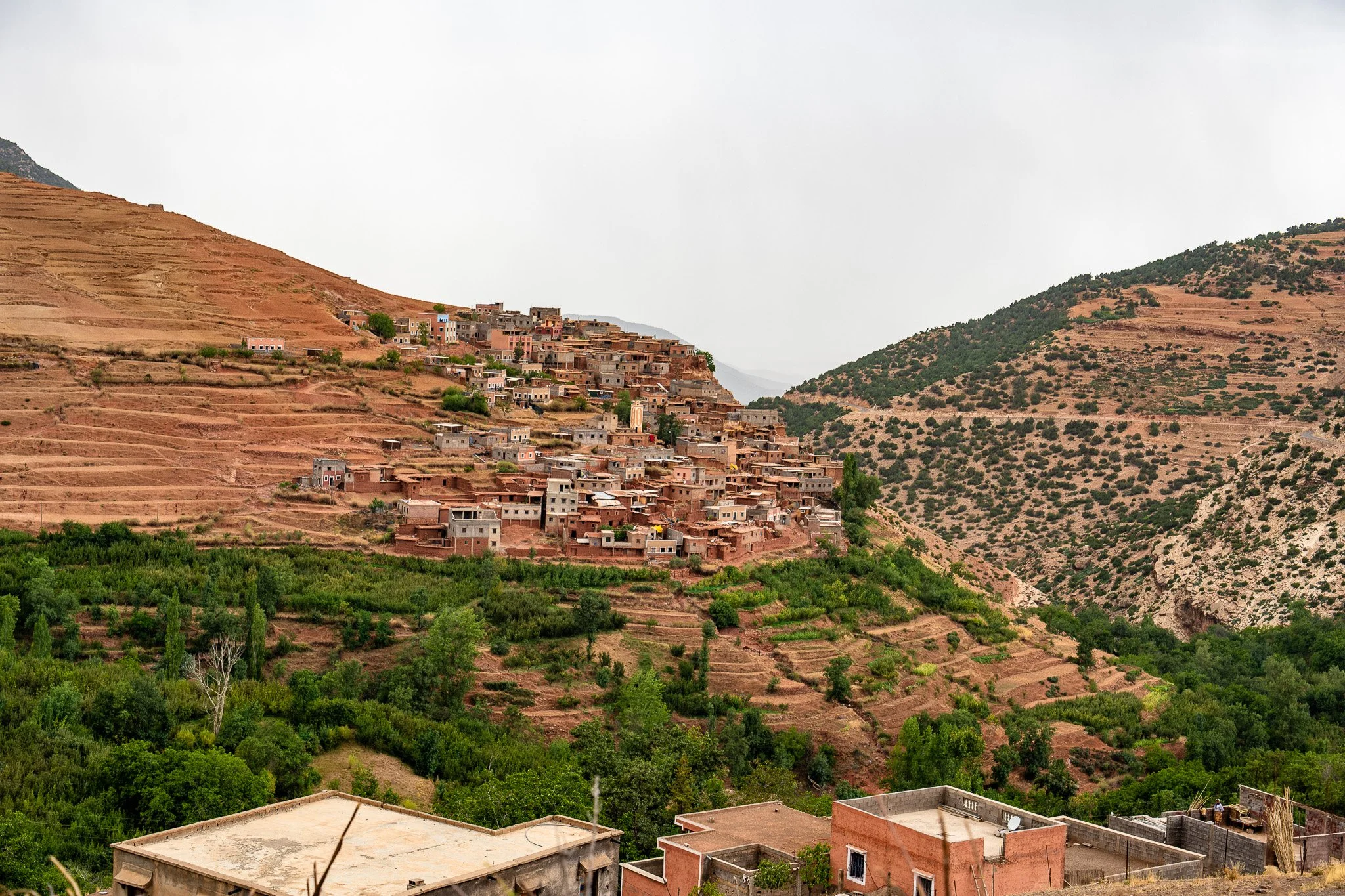 DSC_1164 4.jpg
