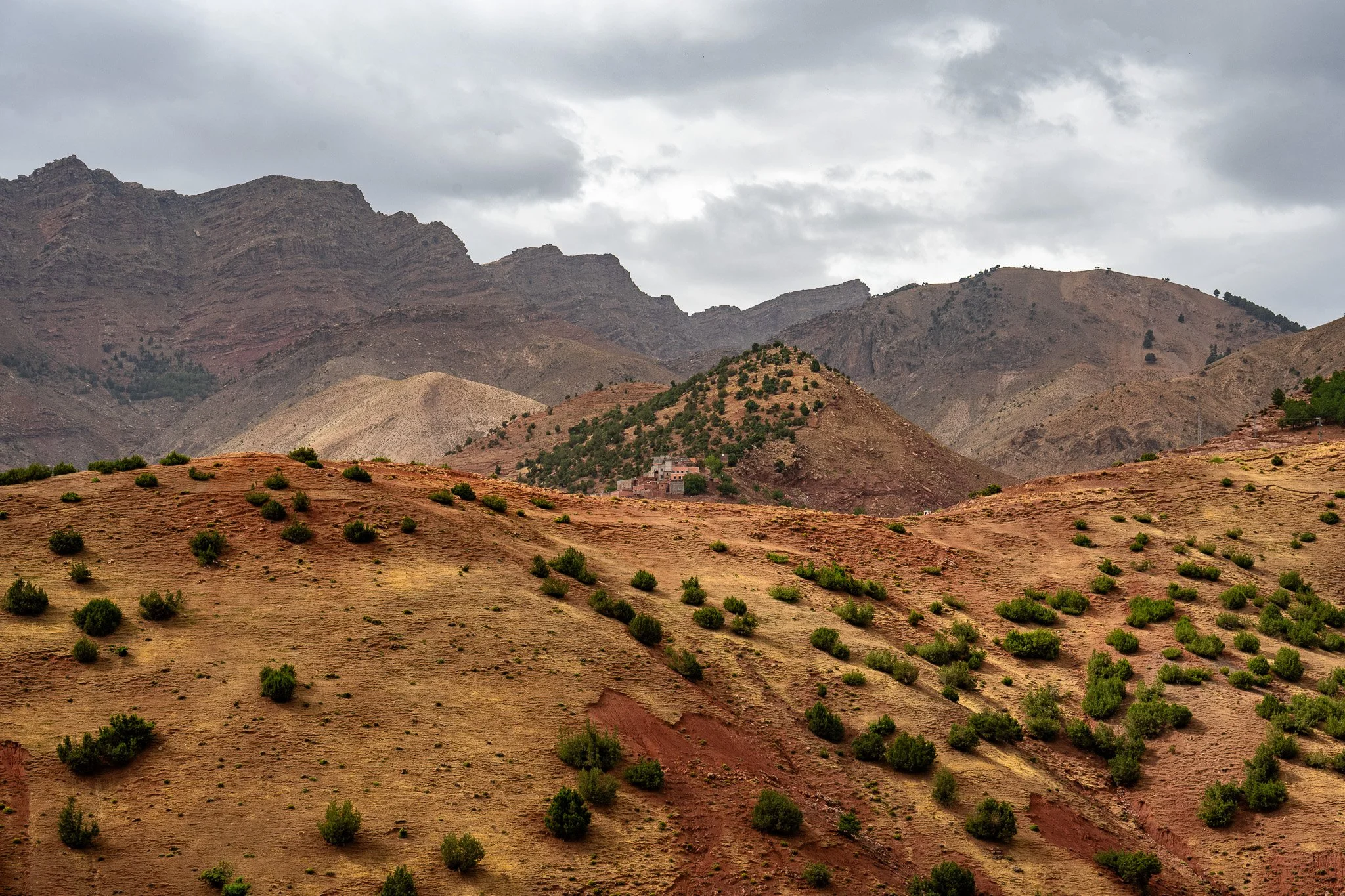 DSC_1132.jpg