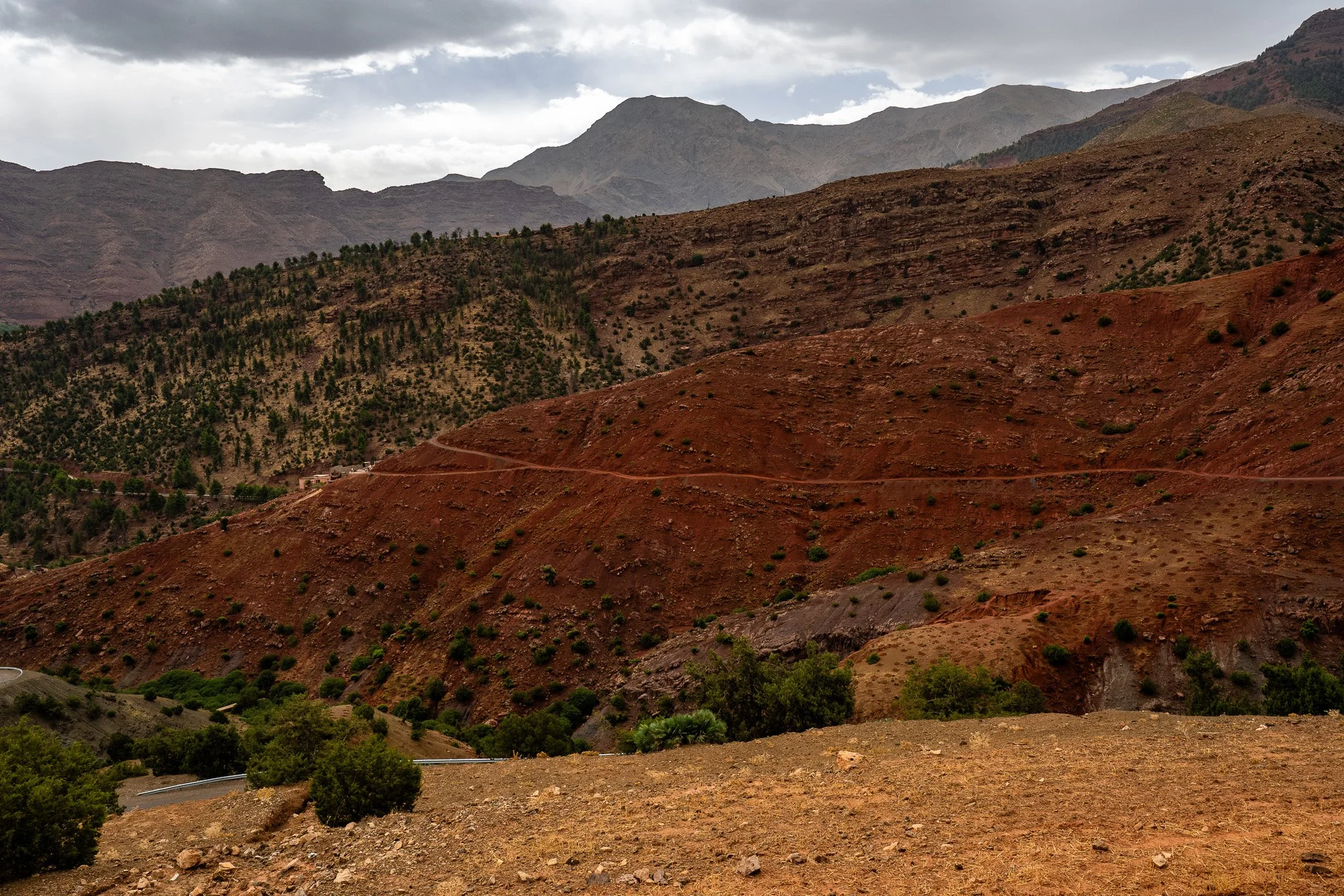 DSC_1129.jpg