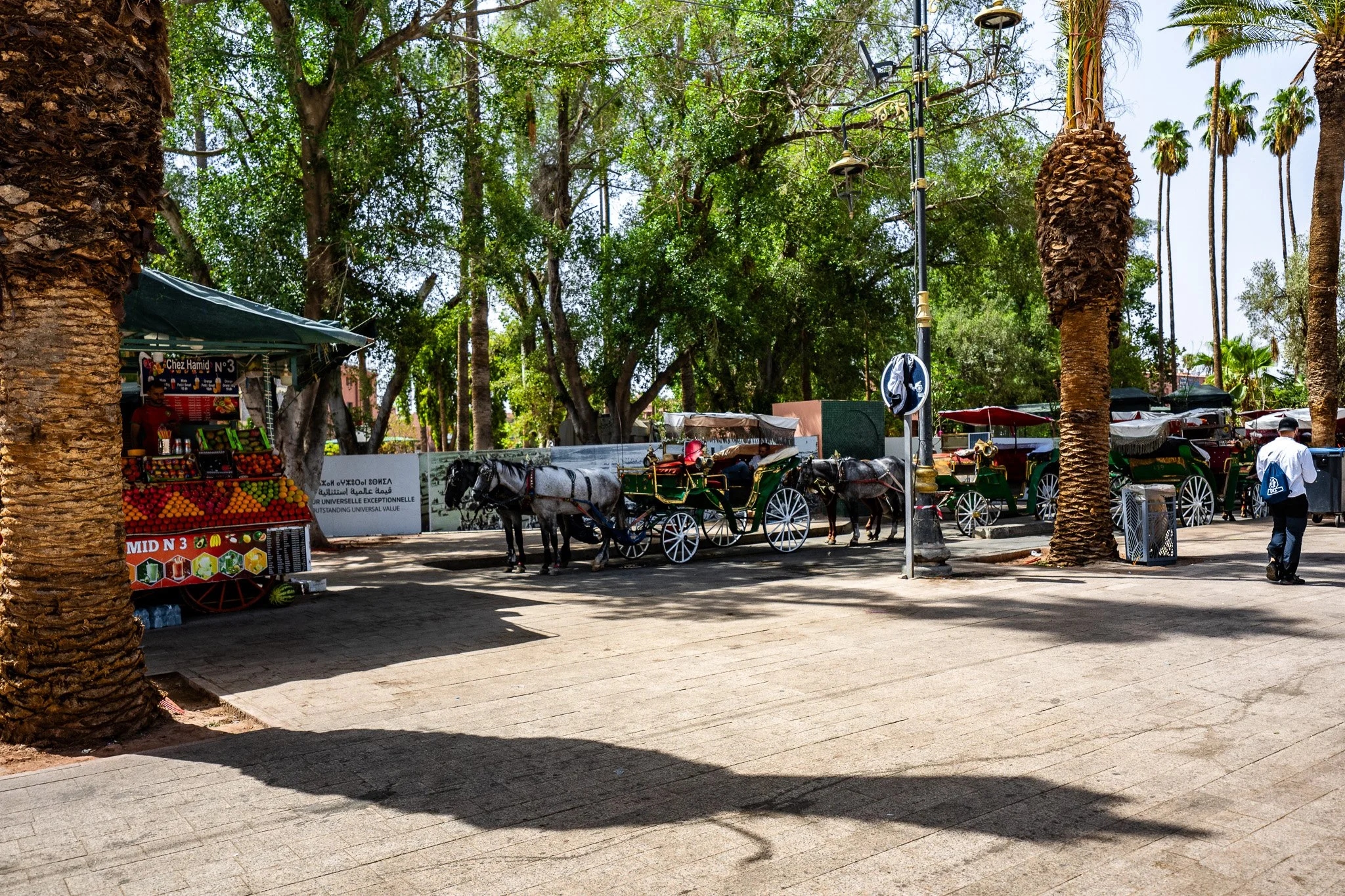 DSC_1018.jpg