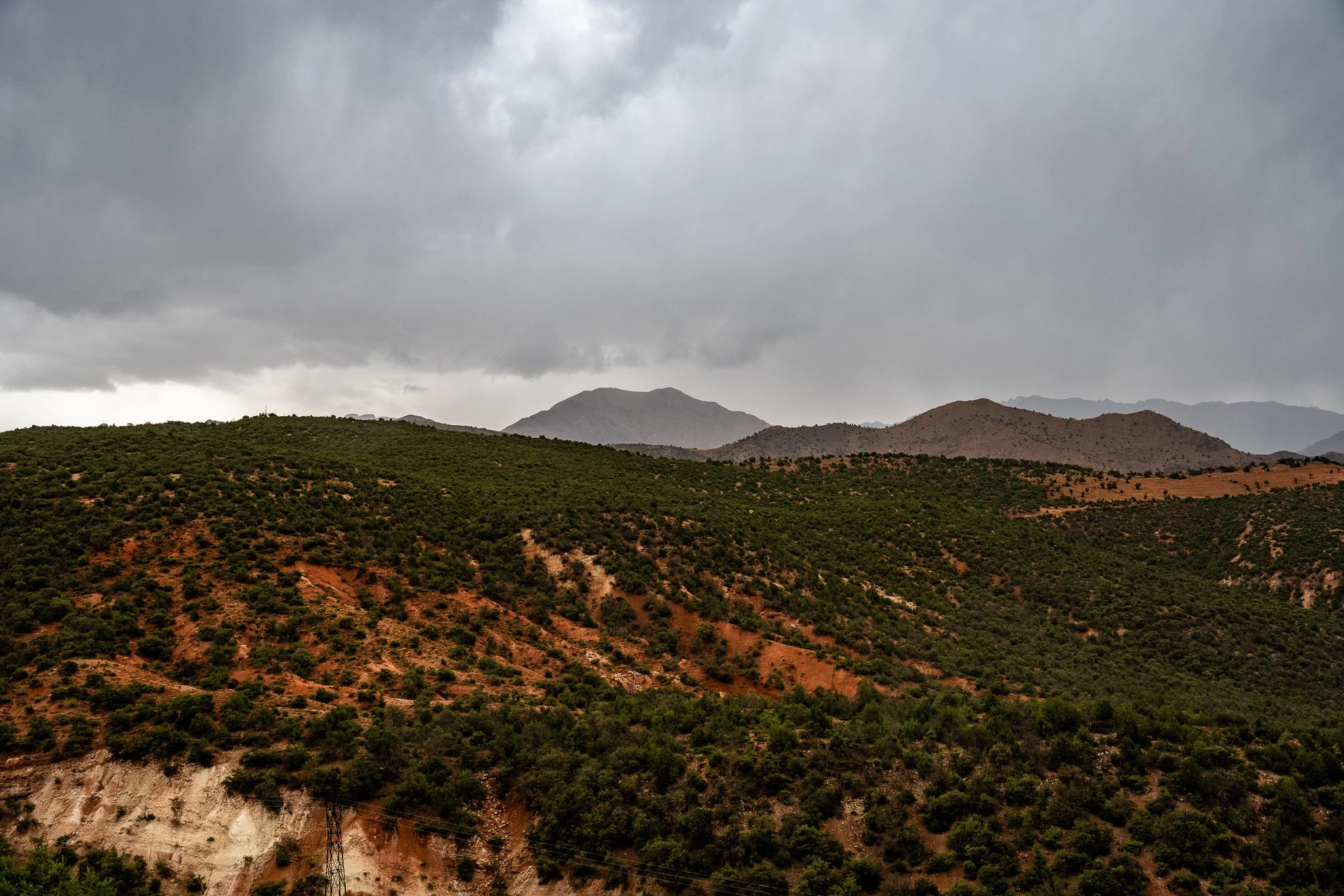 DSC_1241.jpg