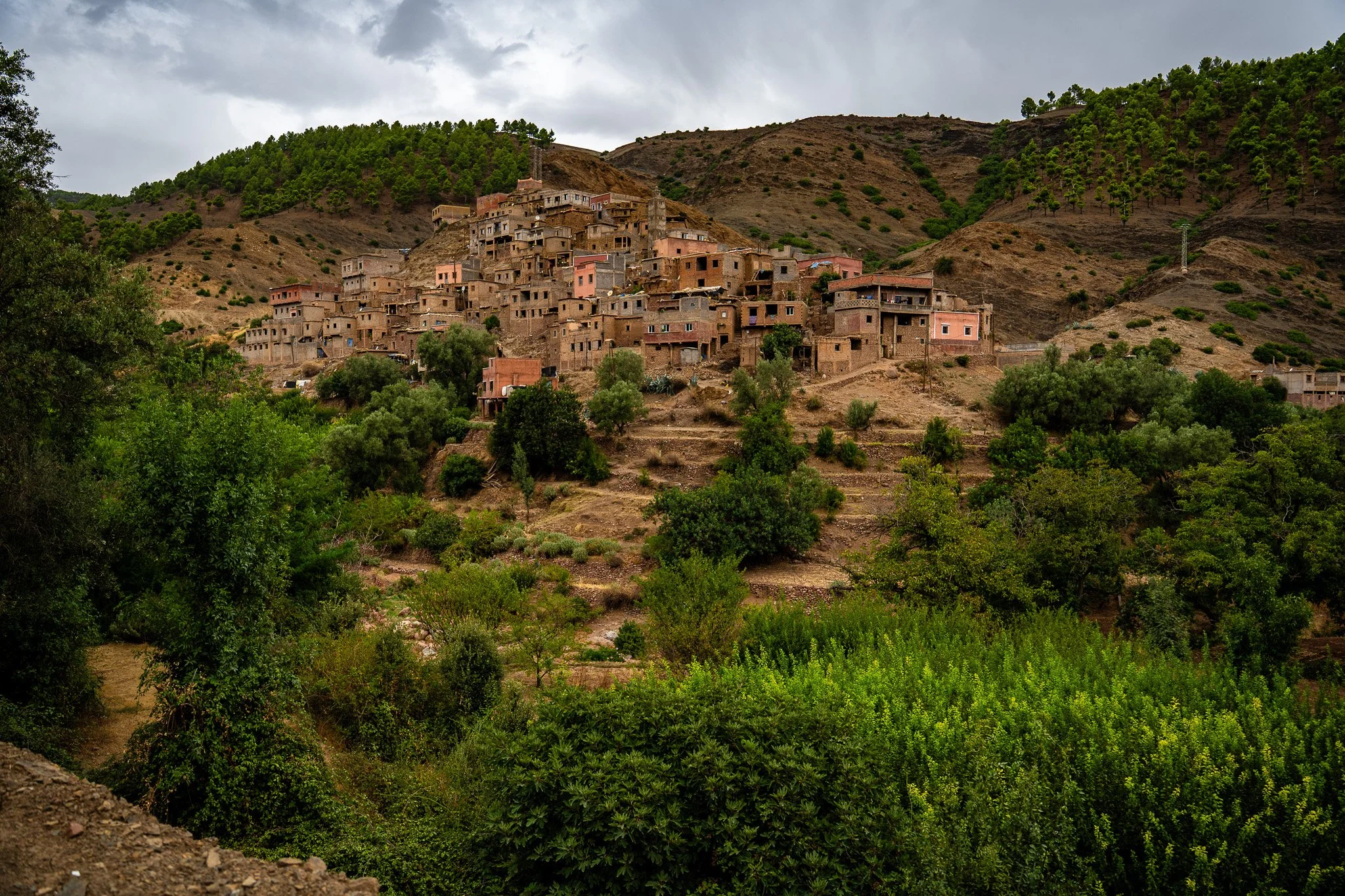 DSC_1112.jpg