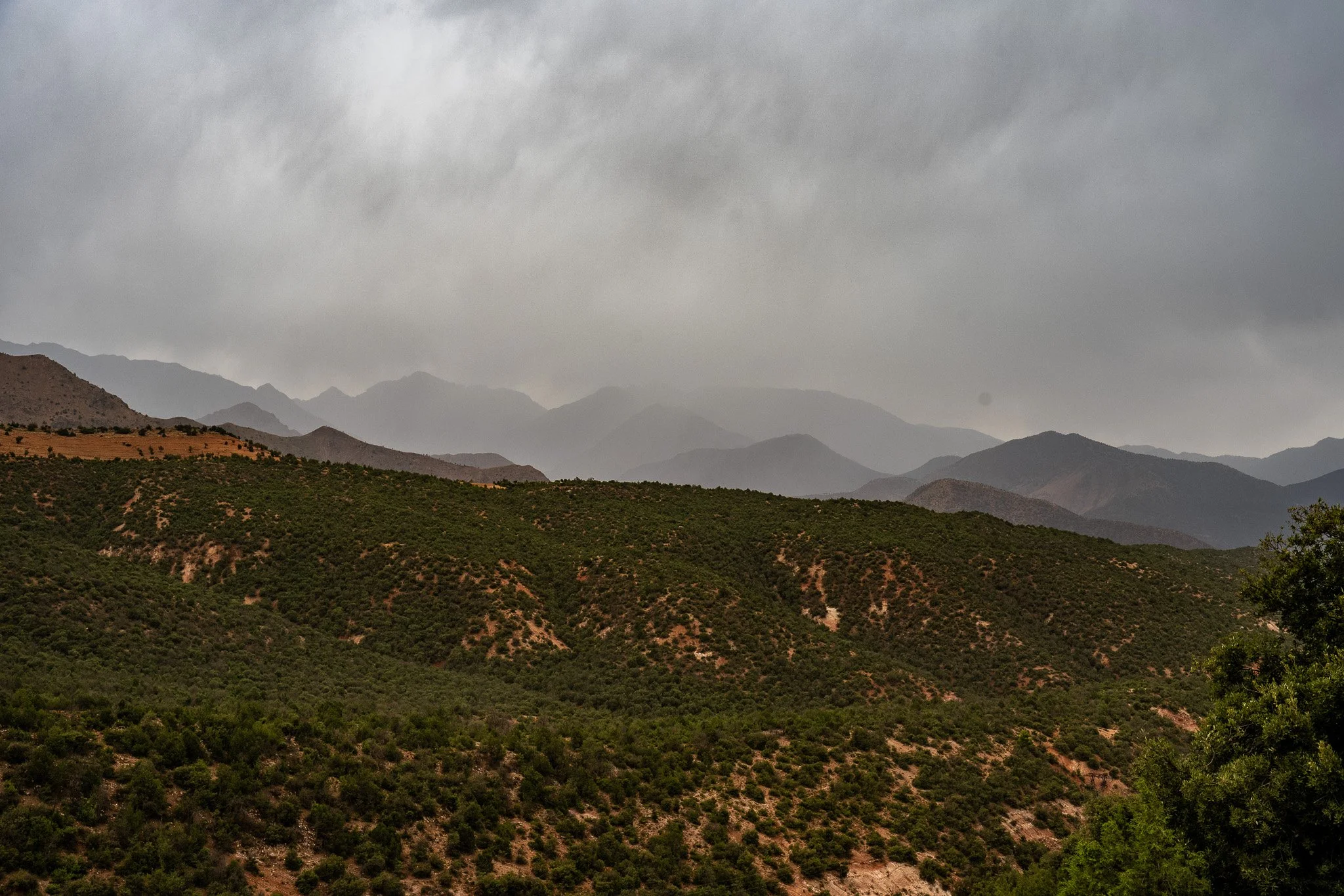 DSC_1243.jpg