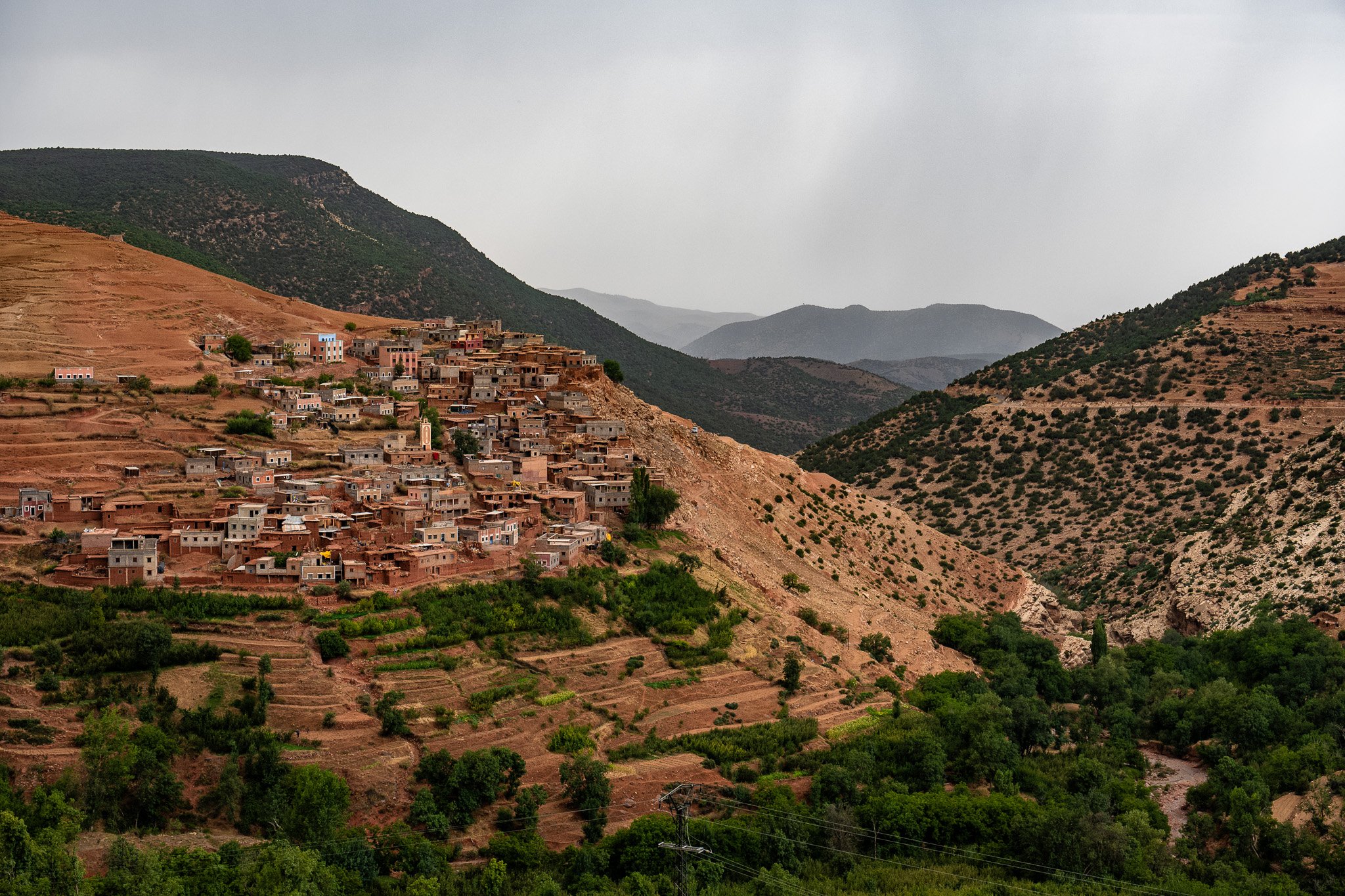 DSC_1162.jpg