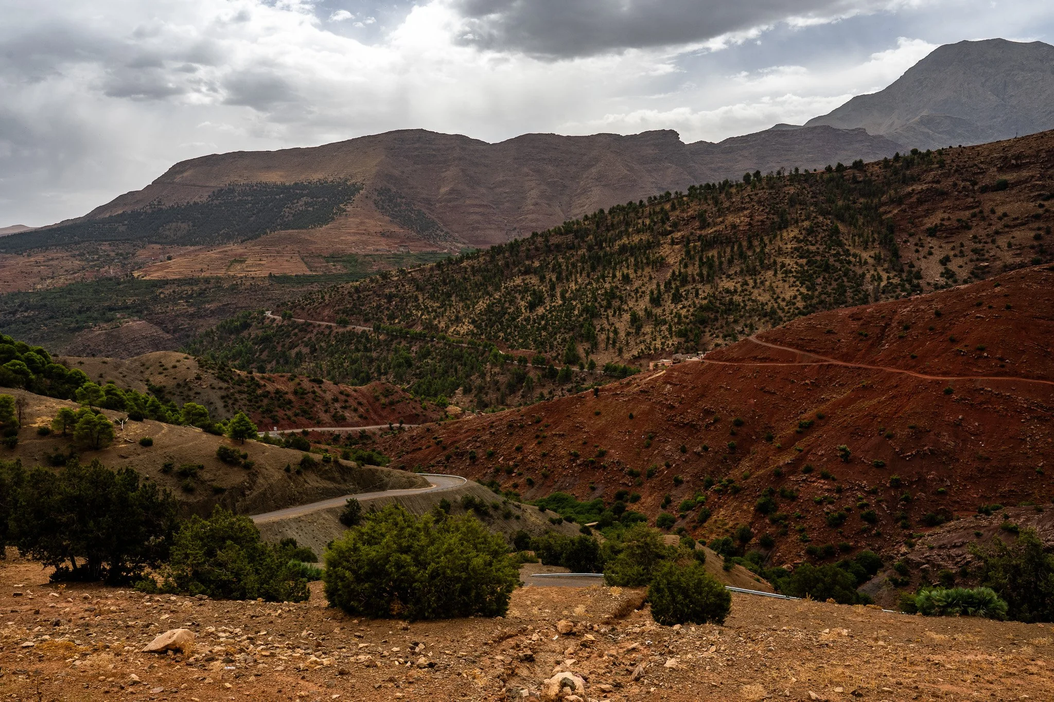 DSC_1125 3.jpg