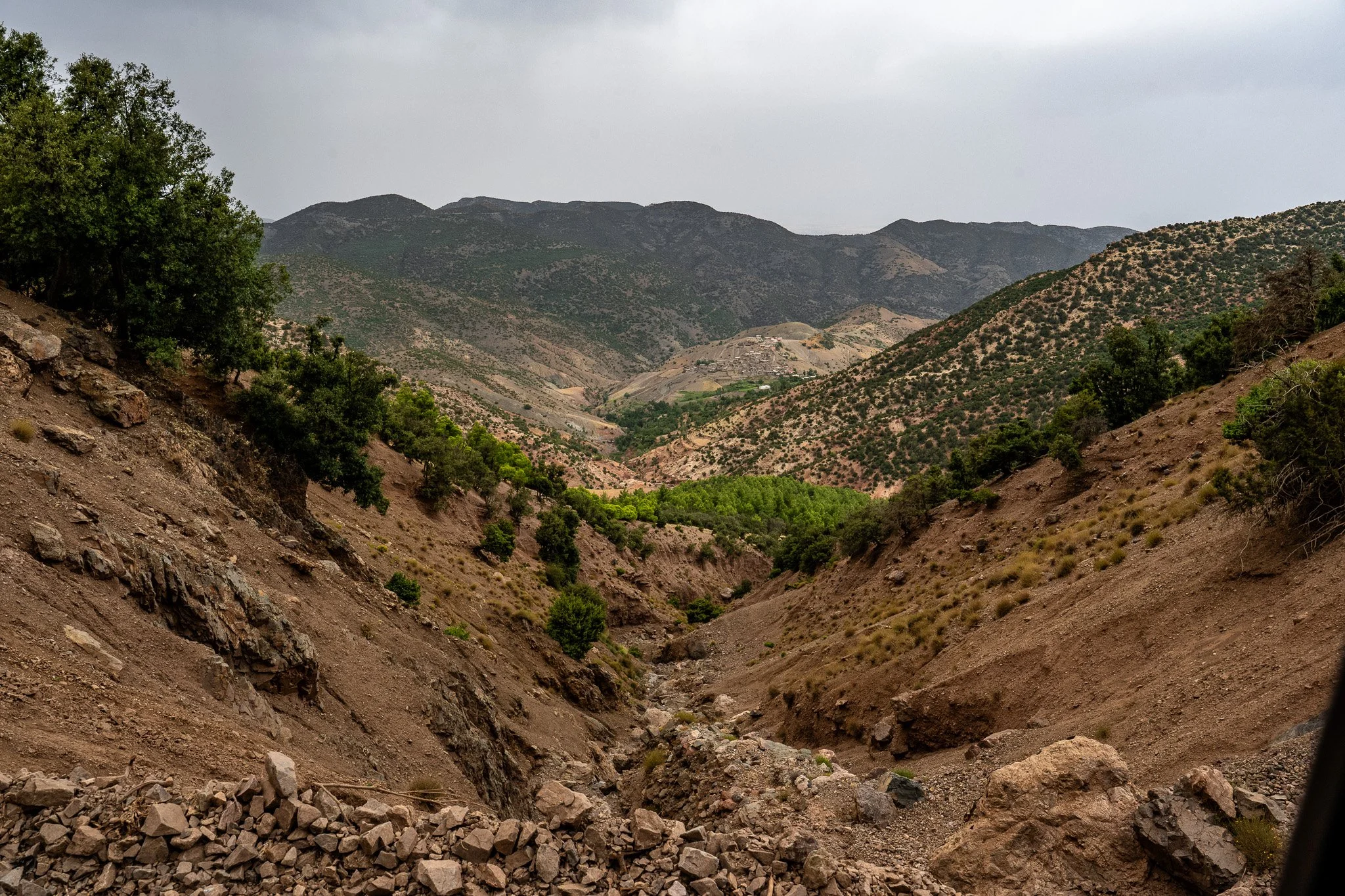 DSC_1157.jpg