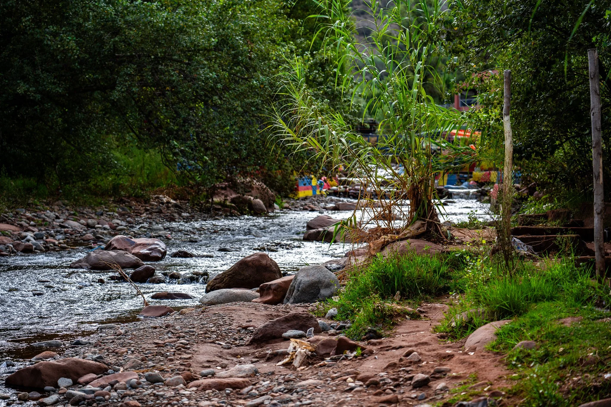 DSC_1068.jpg
