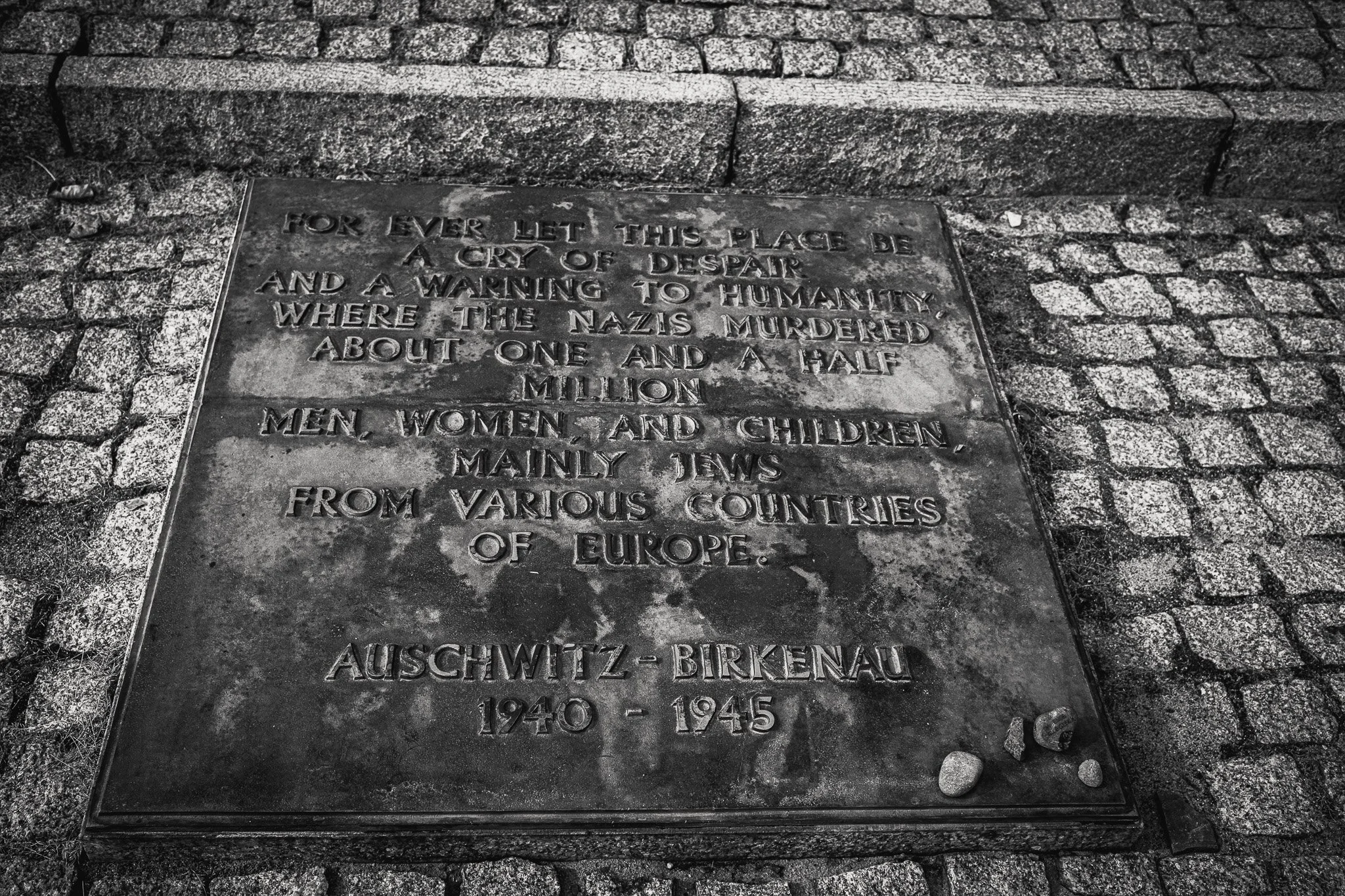 DSCF0476-2.jpg