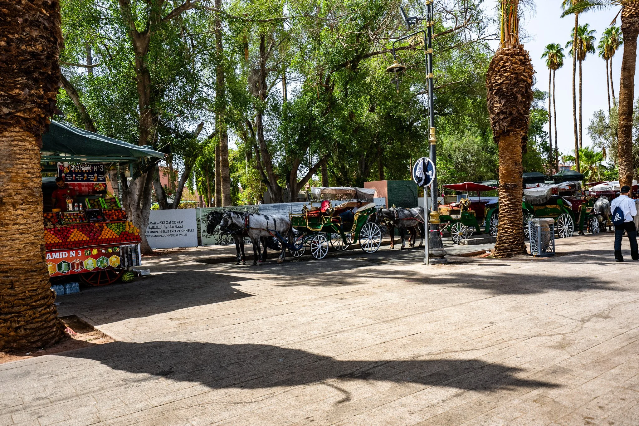DSC_1019.jpg