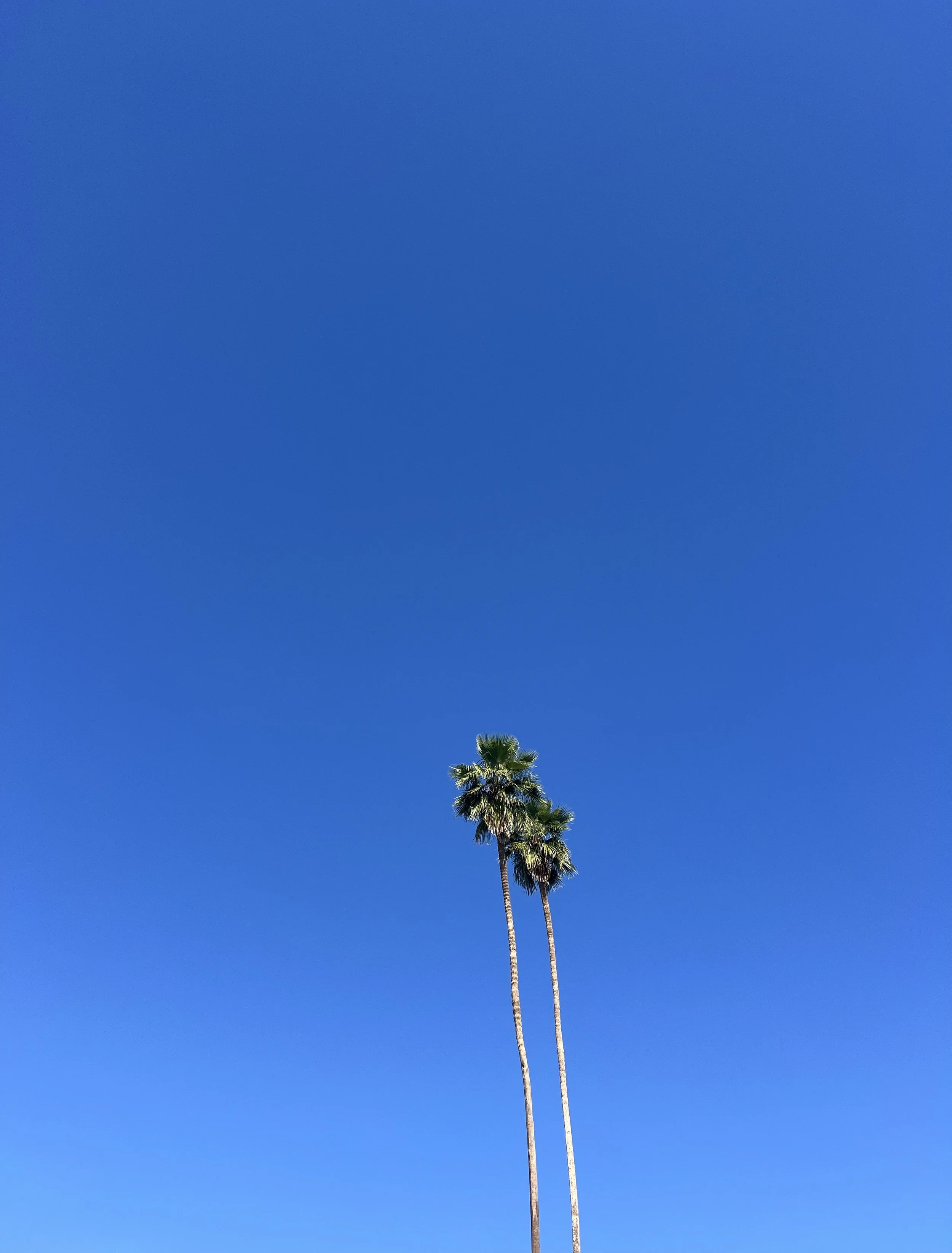 The Sunshine Double