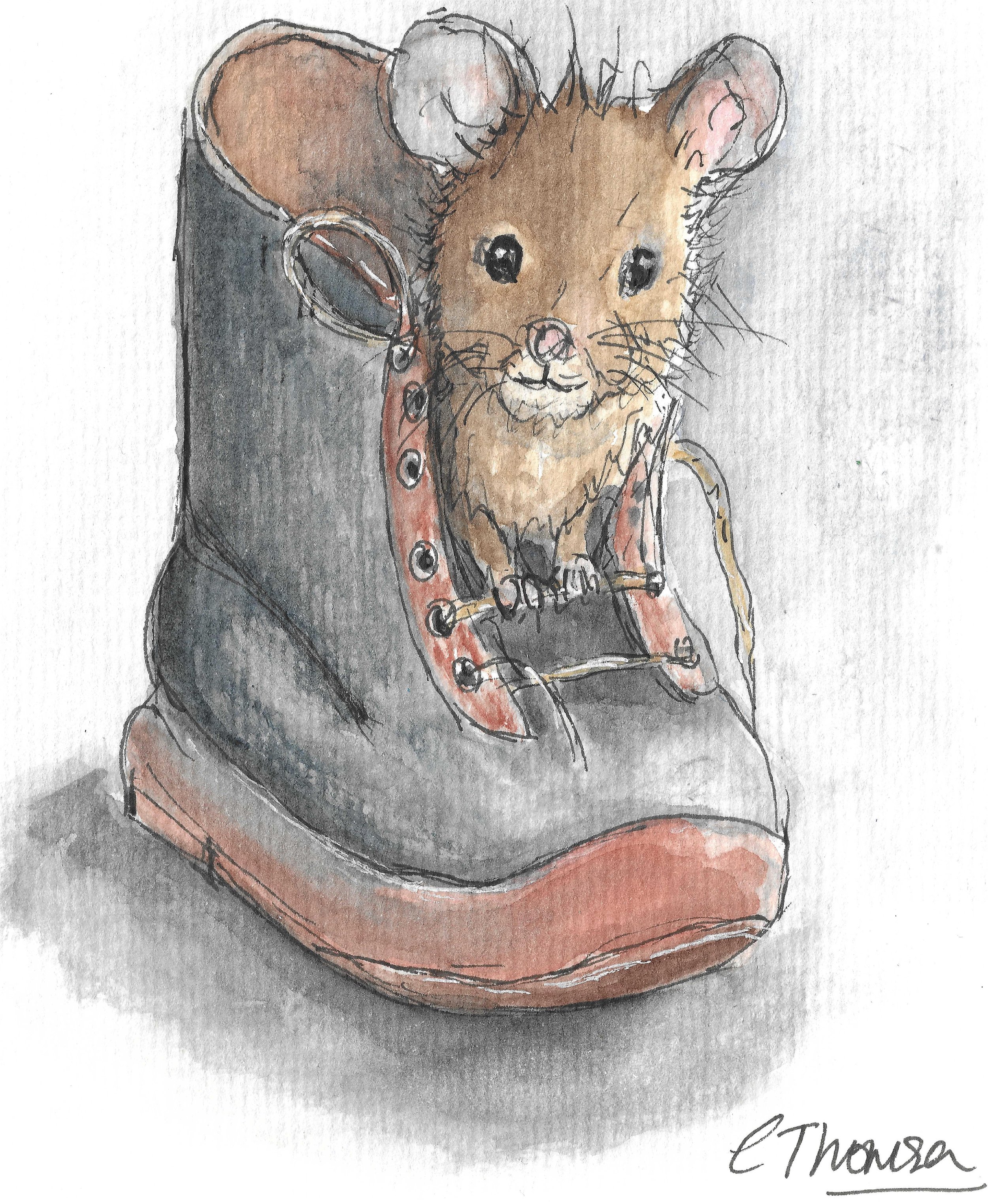 mouse in a boot.jpg