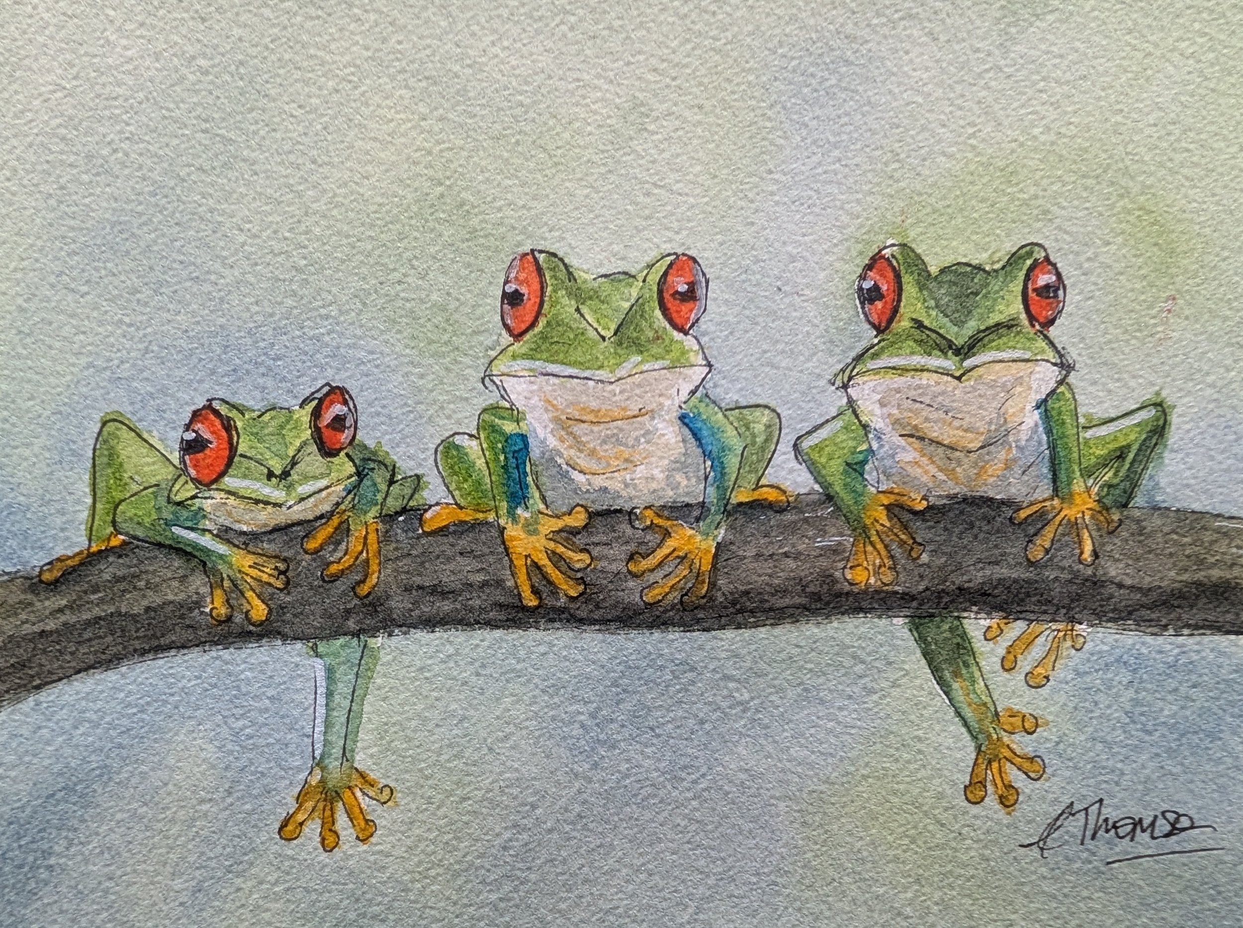 A Trio of Frogs