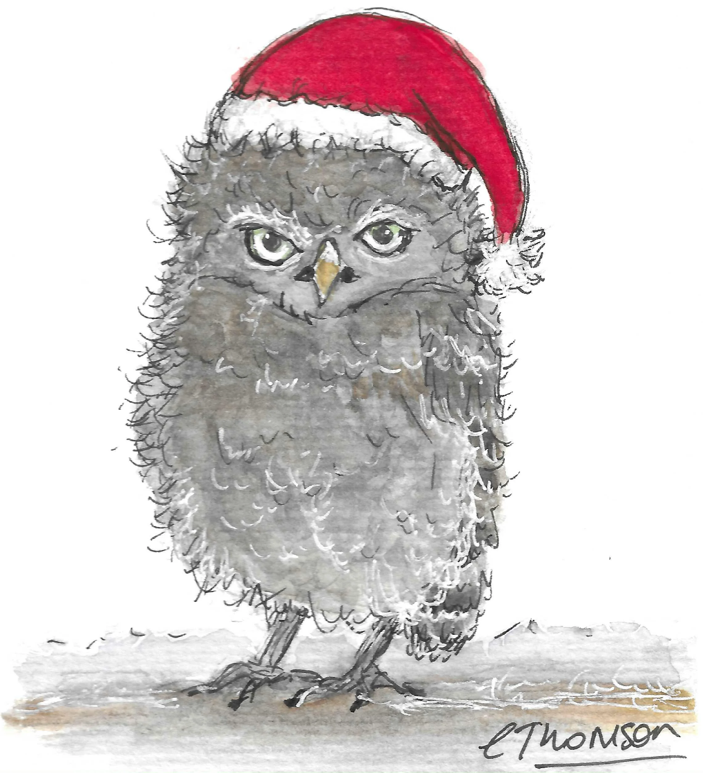 XmasOwl380x417.jpg