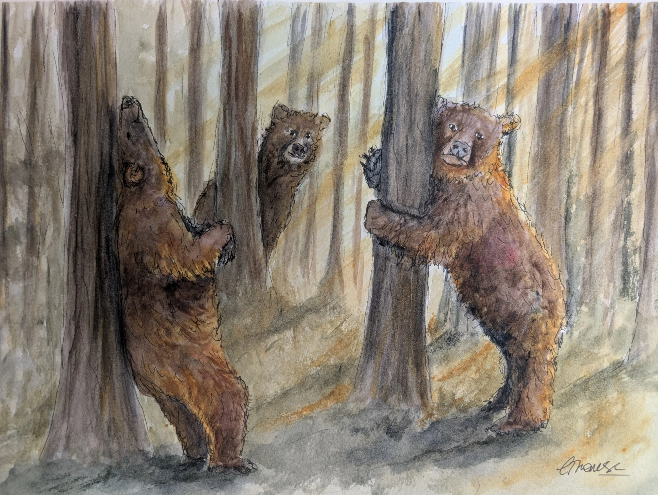 The Bear Necessities (A4 image)