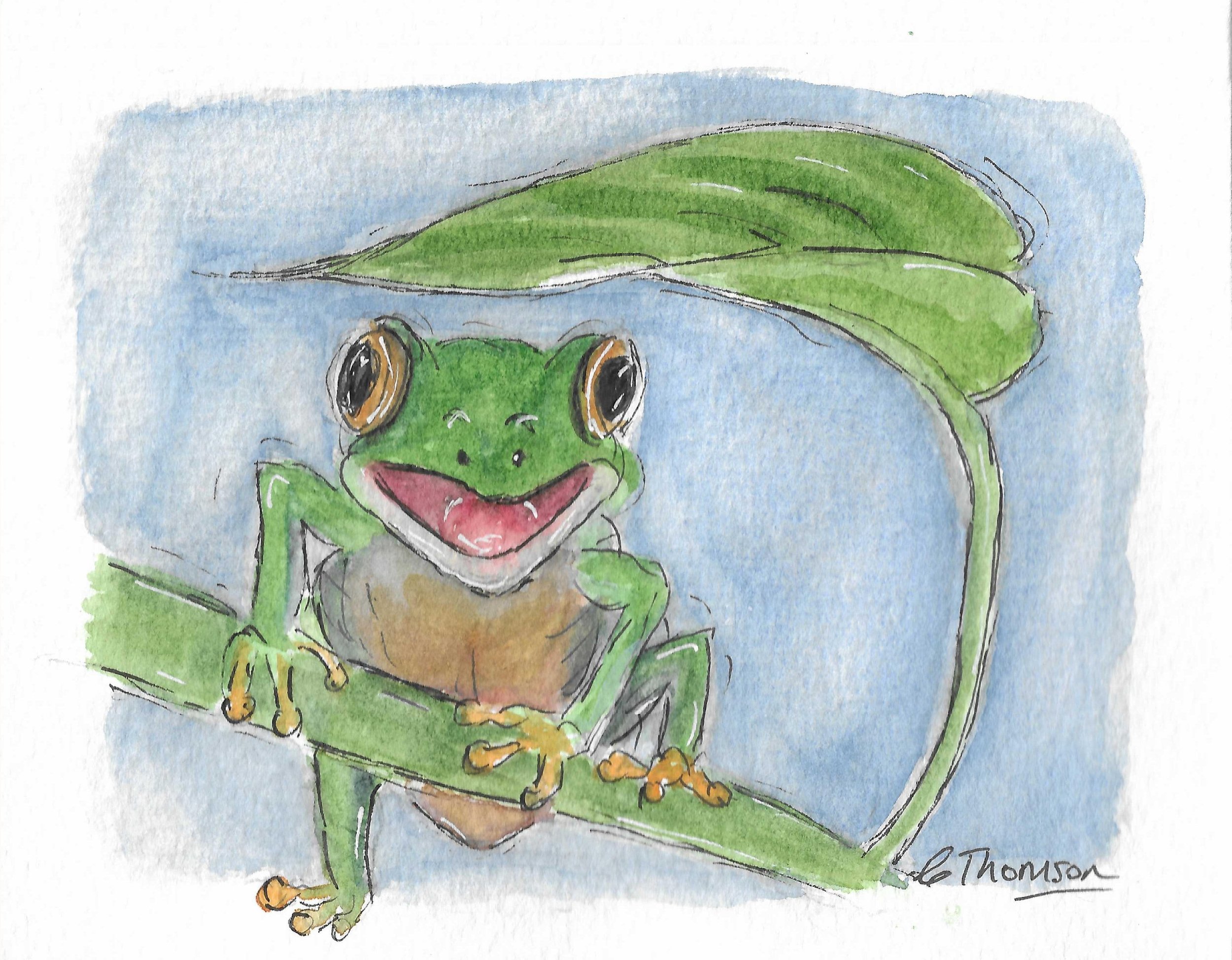 frog+on+leaf.jpg