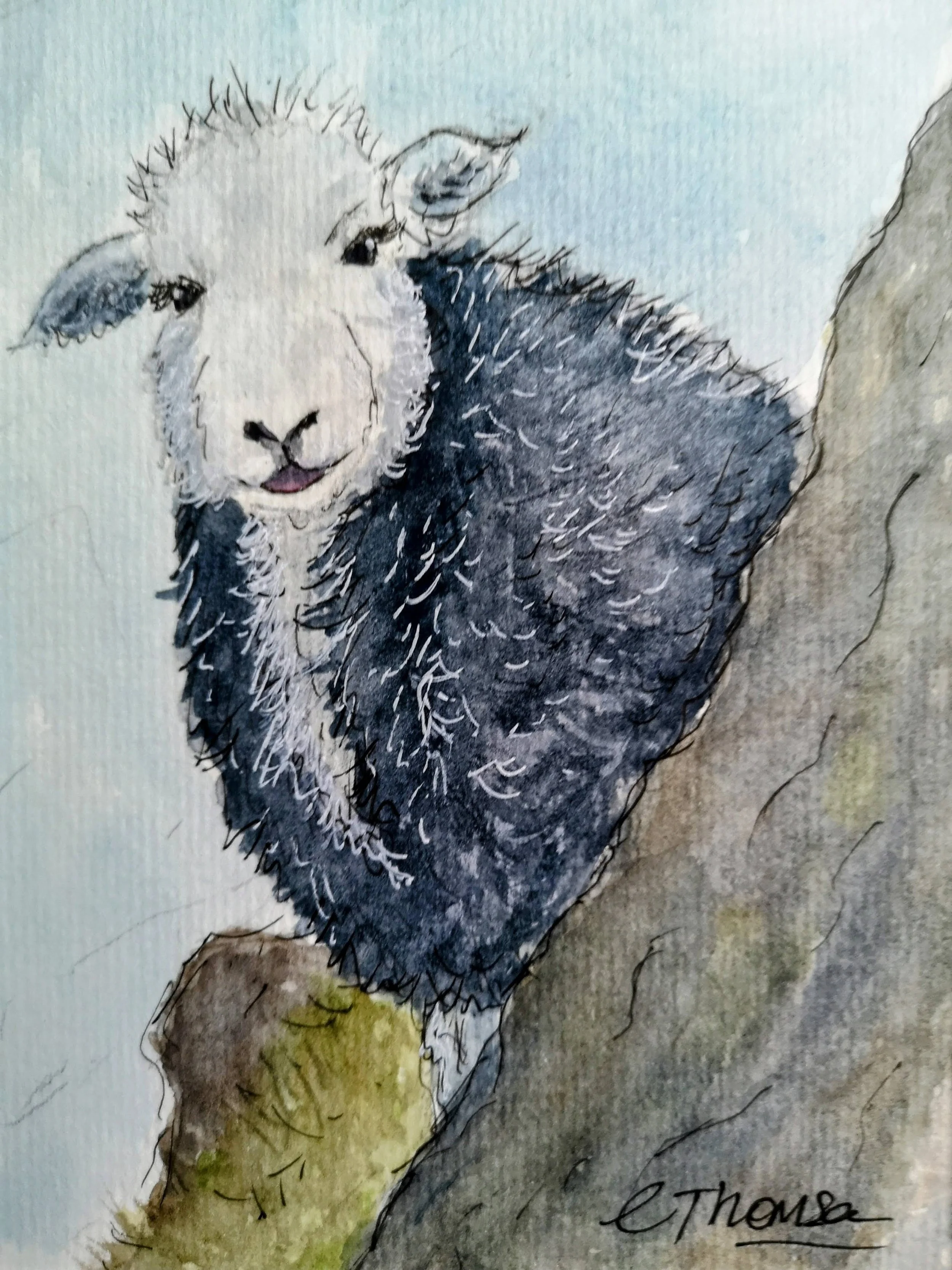 Peek 'a' Boo (A5 image)