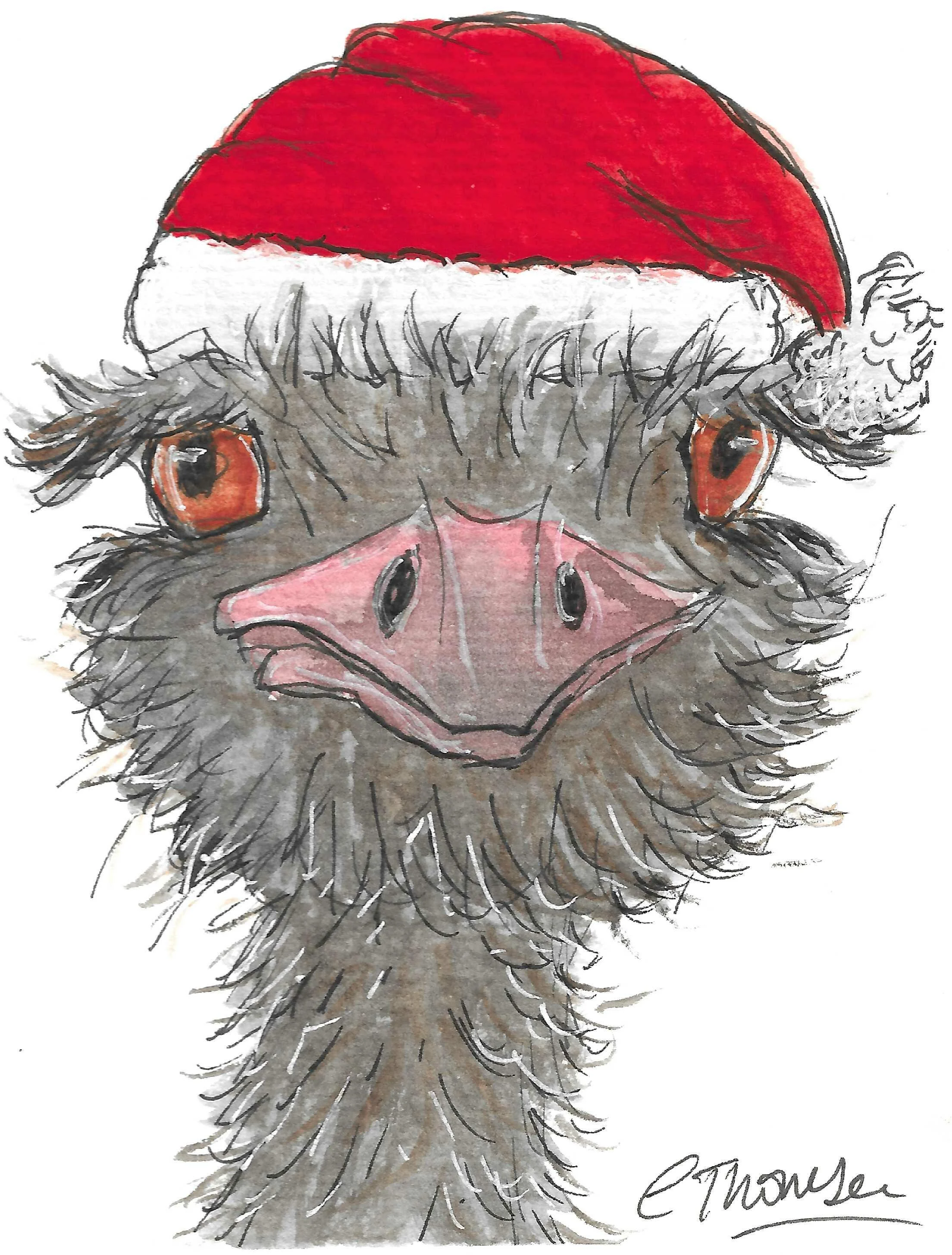 XmasEmu368x485.jpg
