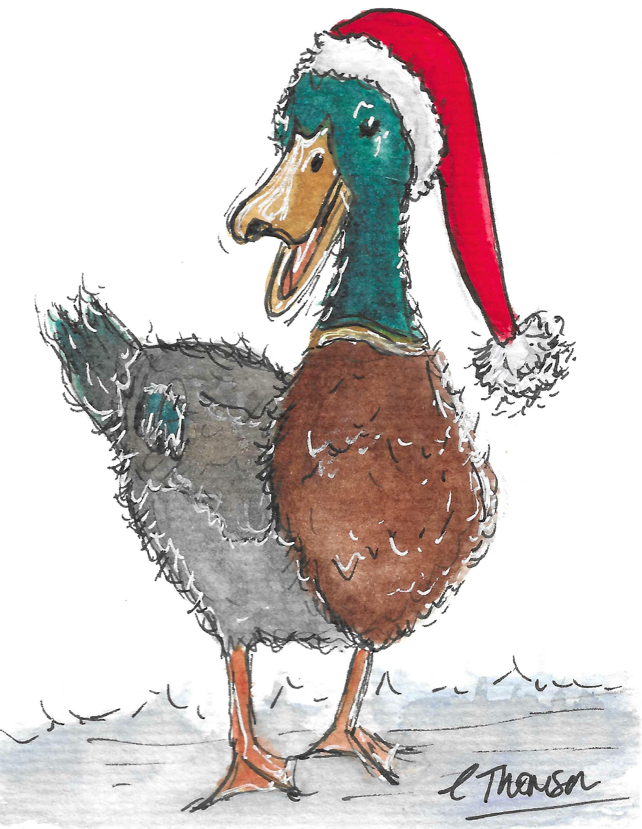 XmasDuck349x450.jpg