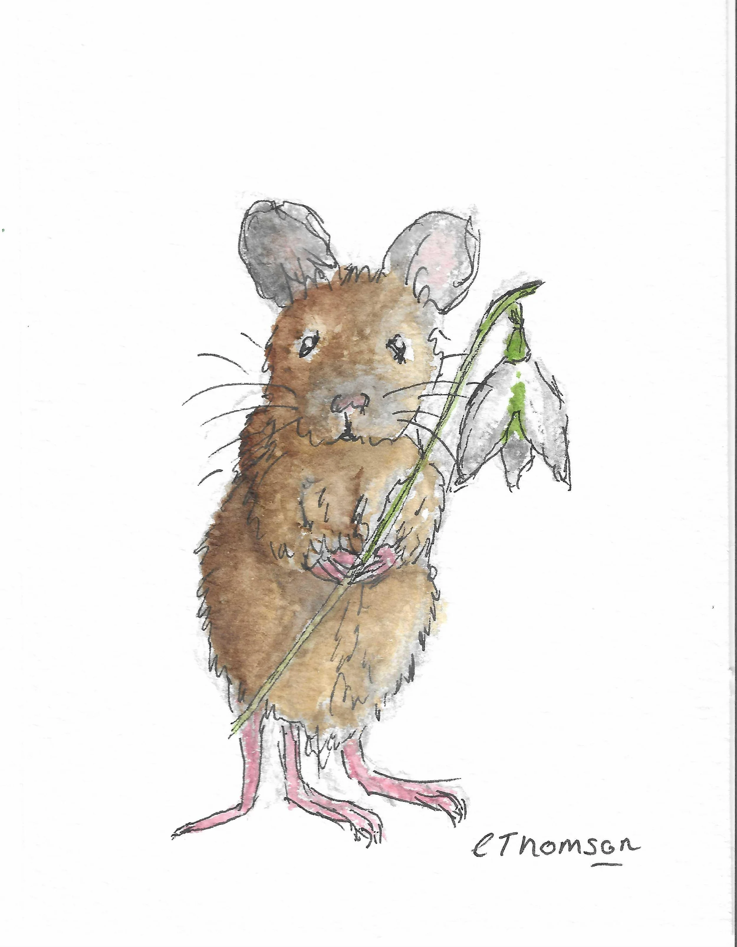 mouse with snowdrop.jpg