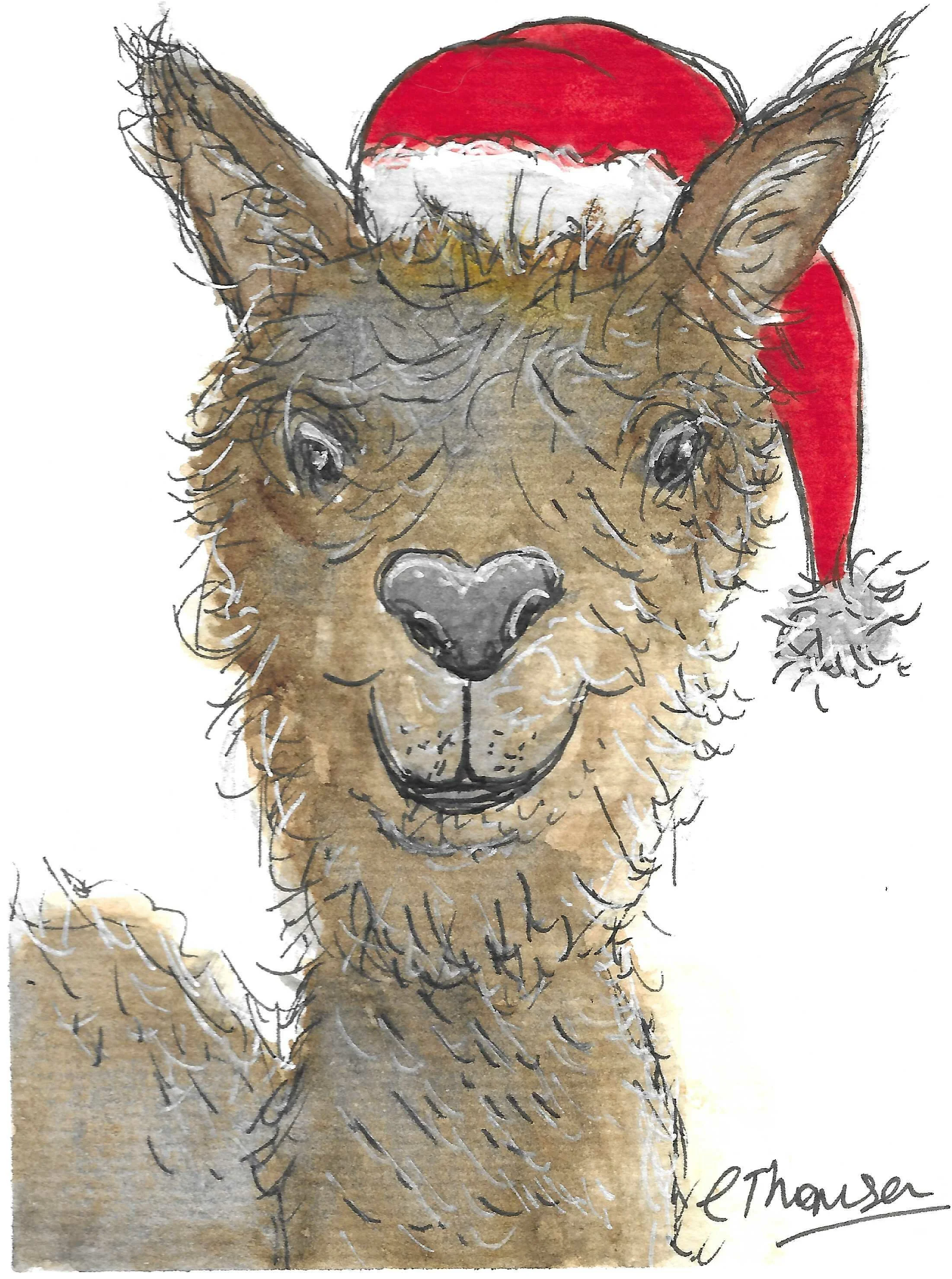XmasLama367x492.jpg