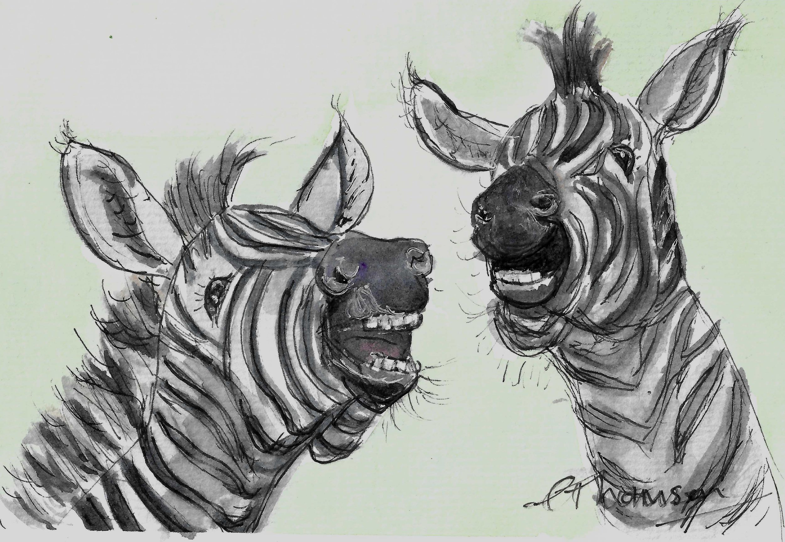 Pair of old gossips.jpg