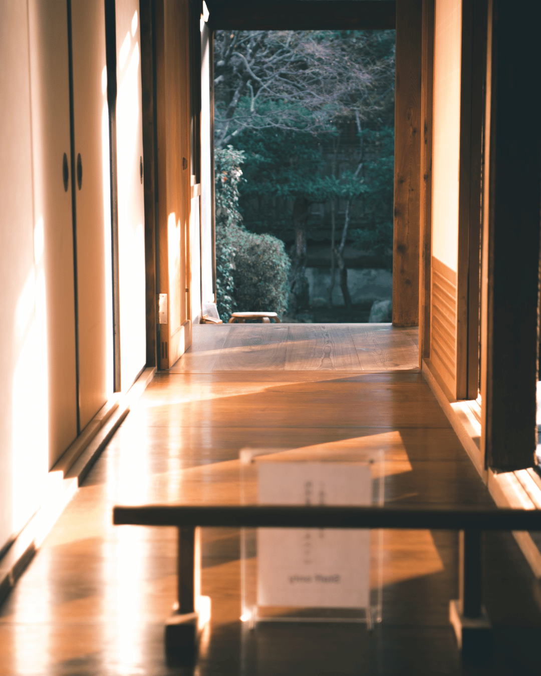 Indoor hallway leading to an open door with a view of a garden and trees outside, sunlight streaming in
