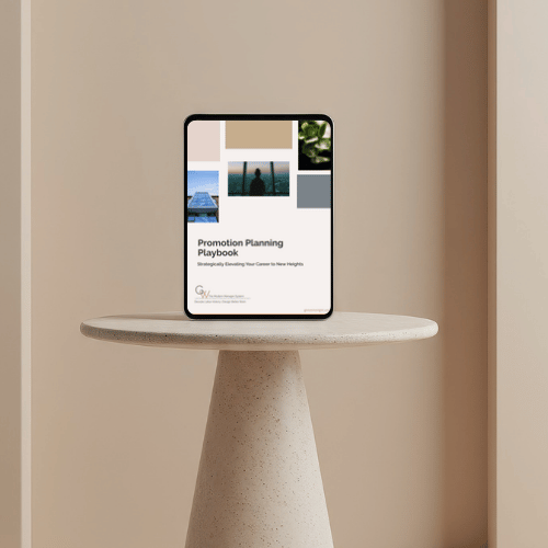 Promotion Planning Playbook.png