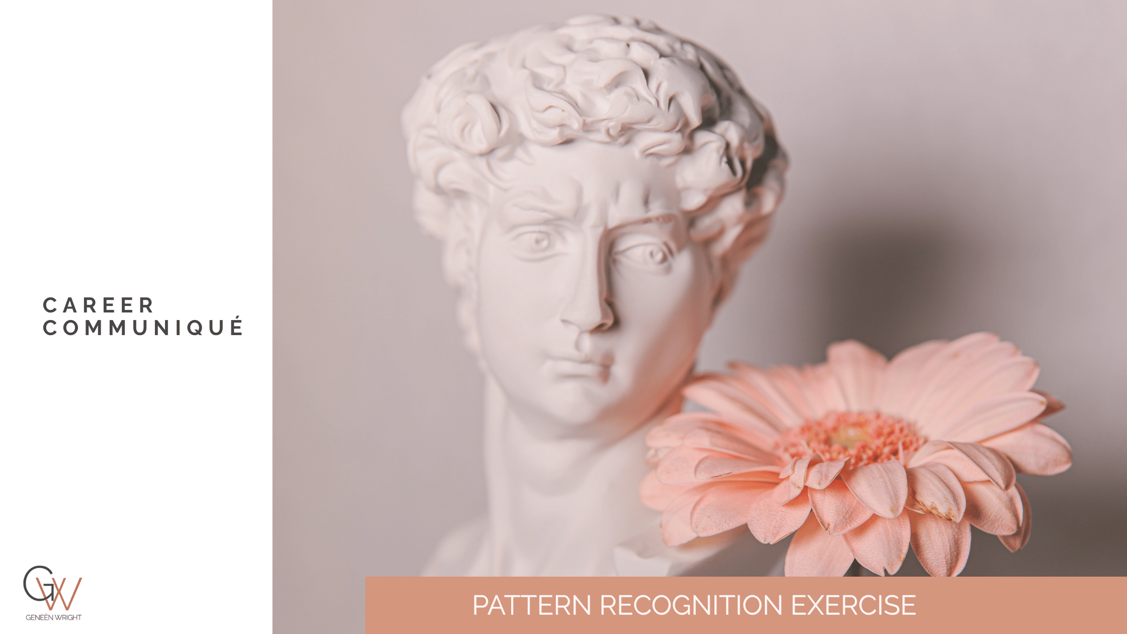 A white classical bust sculpture of a young boy with curly hair beside a pink flower with soft petals. Text on the left reads "Career Communiqué" and text at the bottom reads "Pattern Recognition Exercise."