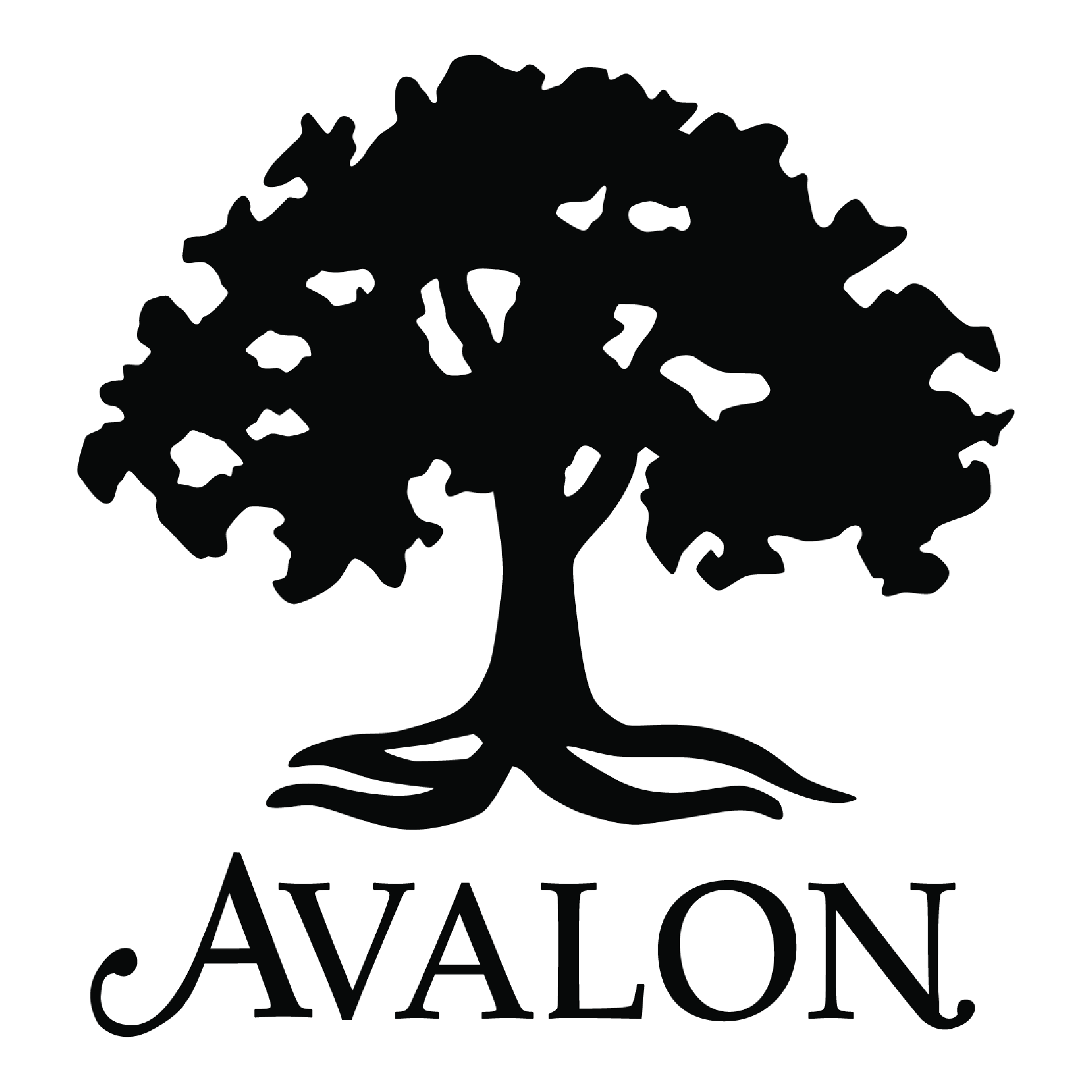 Avalon & The Grand Resort
