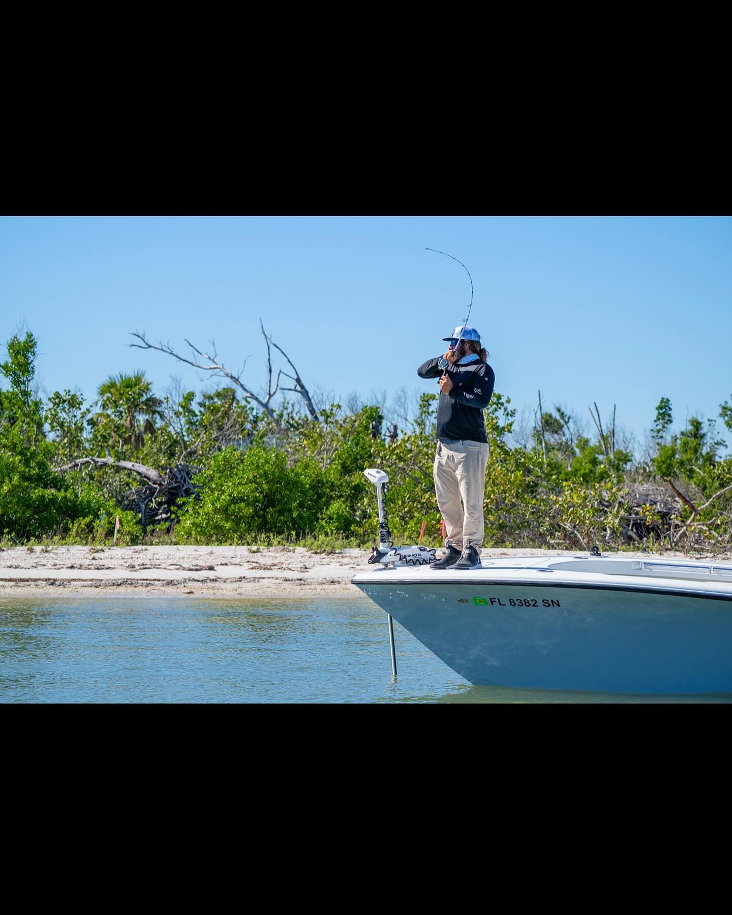 Even on cold windy days there is always something to get the drag screaming out of fort Myers beach 🏝️ 

➡️Swipe to see what&rsquo;s biting today with @lifeonthewatertv 

@scales_gear 
@costacustomboats 
@pinkshellresort 

#fishing #fortmyersbeach #