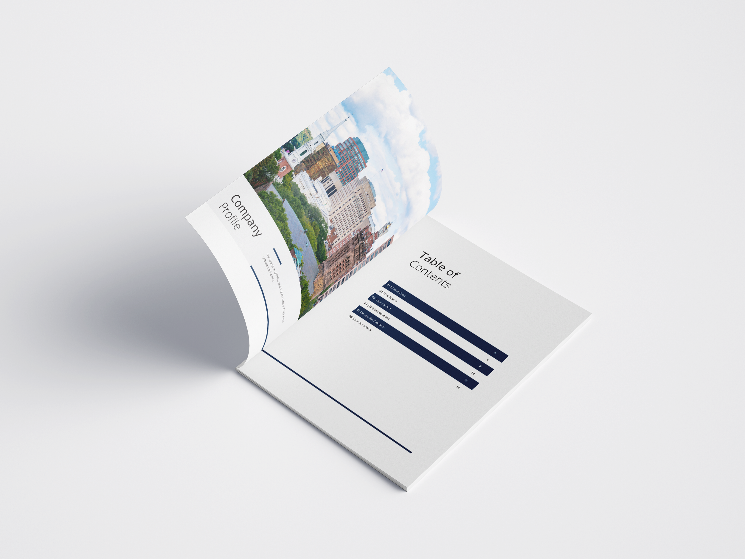 Company Profile page 1_2.png
