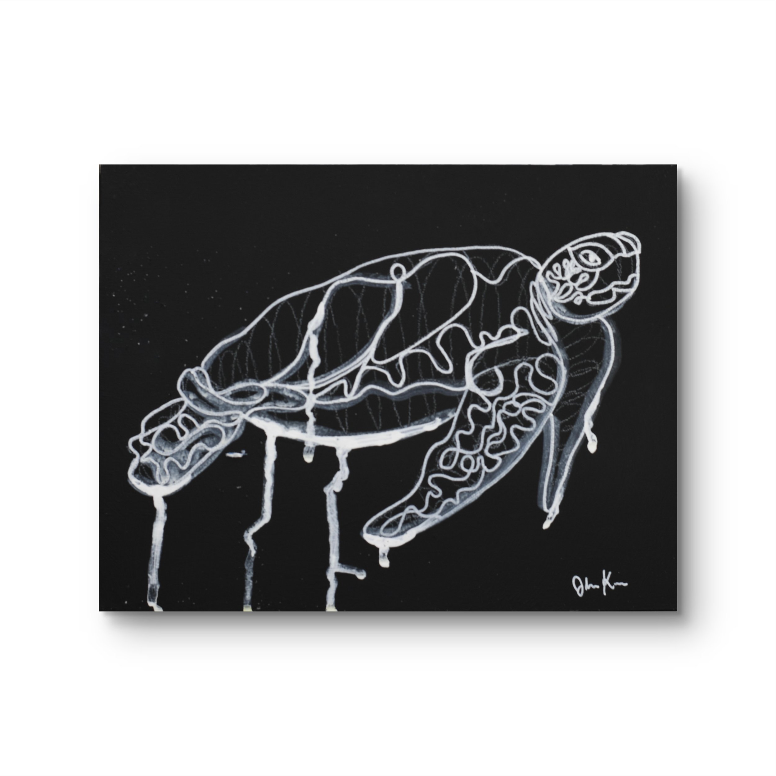 Sea Turtle