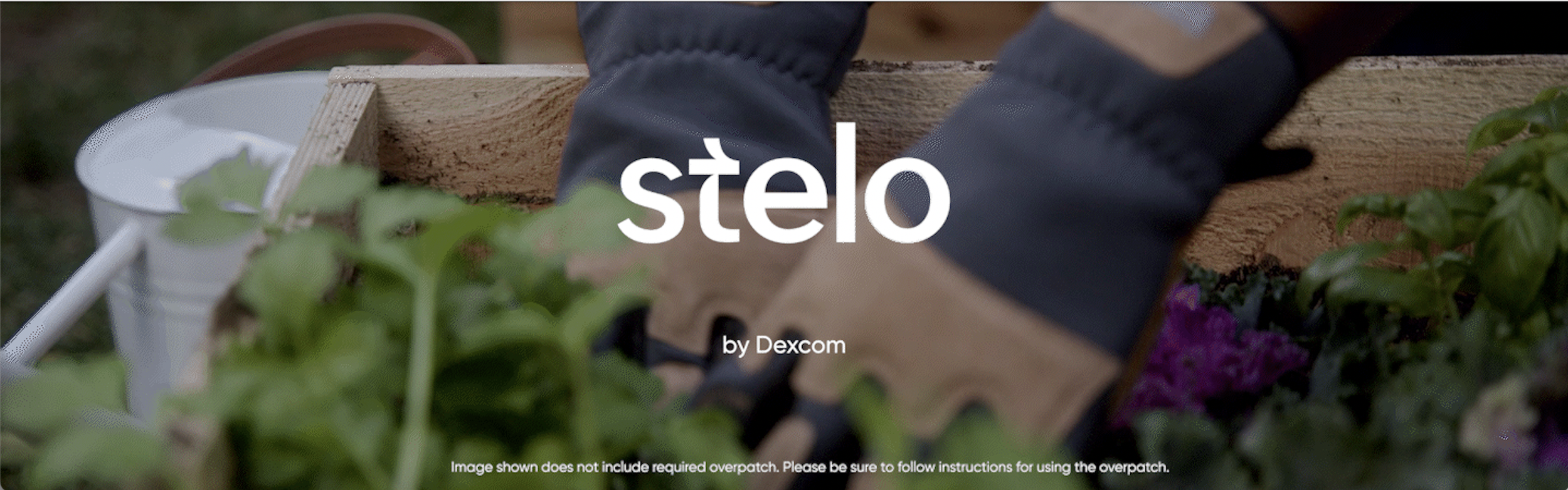 Screen Shot 2024-03-19 at 11.47.14 AM.png