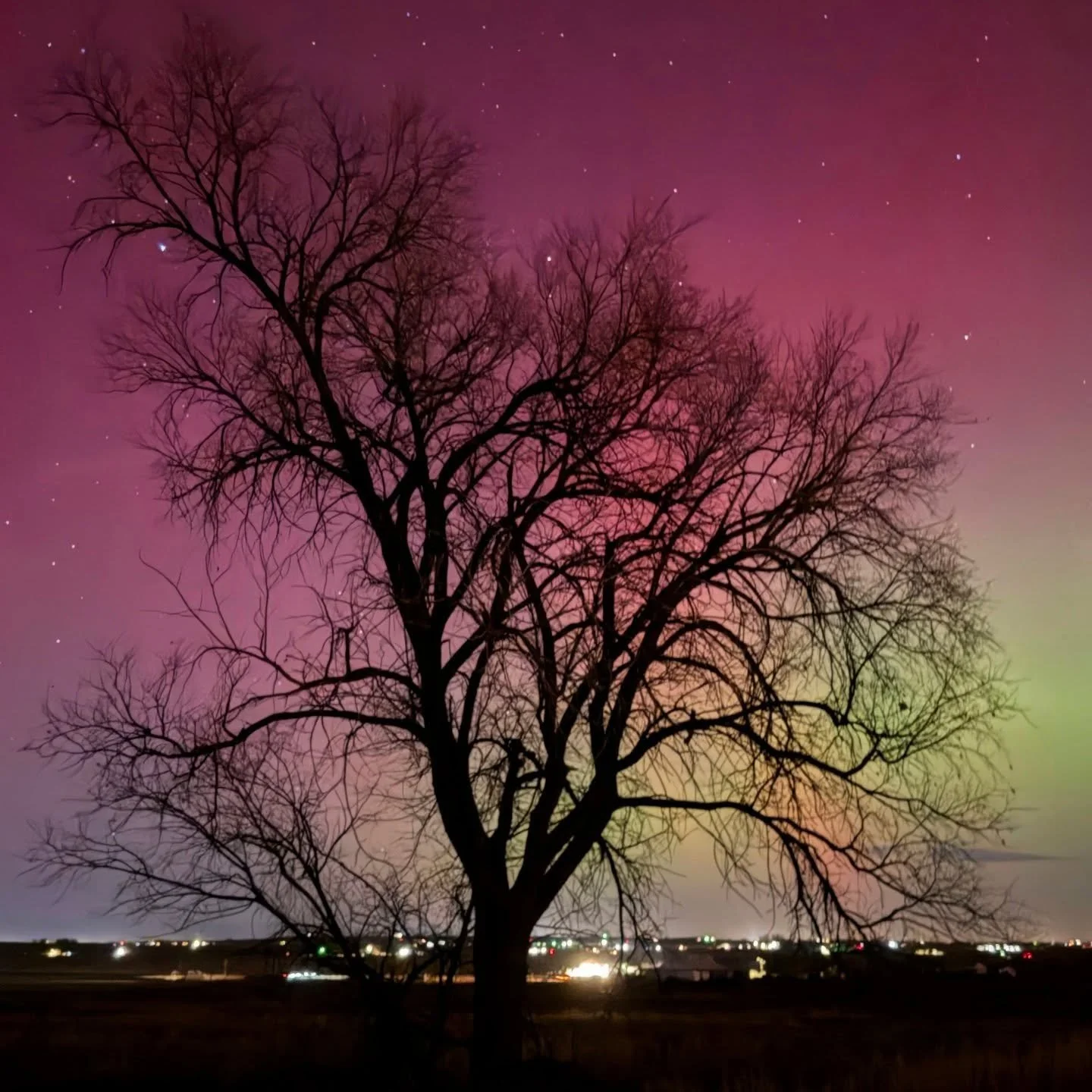Caught the Aurora Borealis last night! ✨ Drove towards Northern Colorado for better views but by 9:30pm we could see it from our patio in Aurora. So surreal! Hope it comes back tonight!

#auroraborealis #colorado #sky #hudsen #aurora