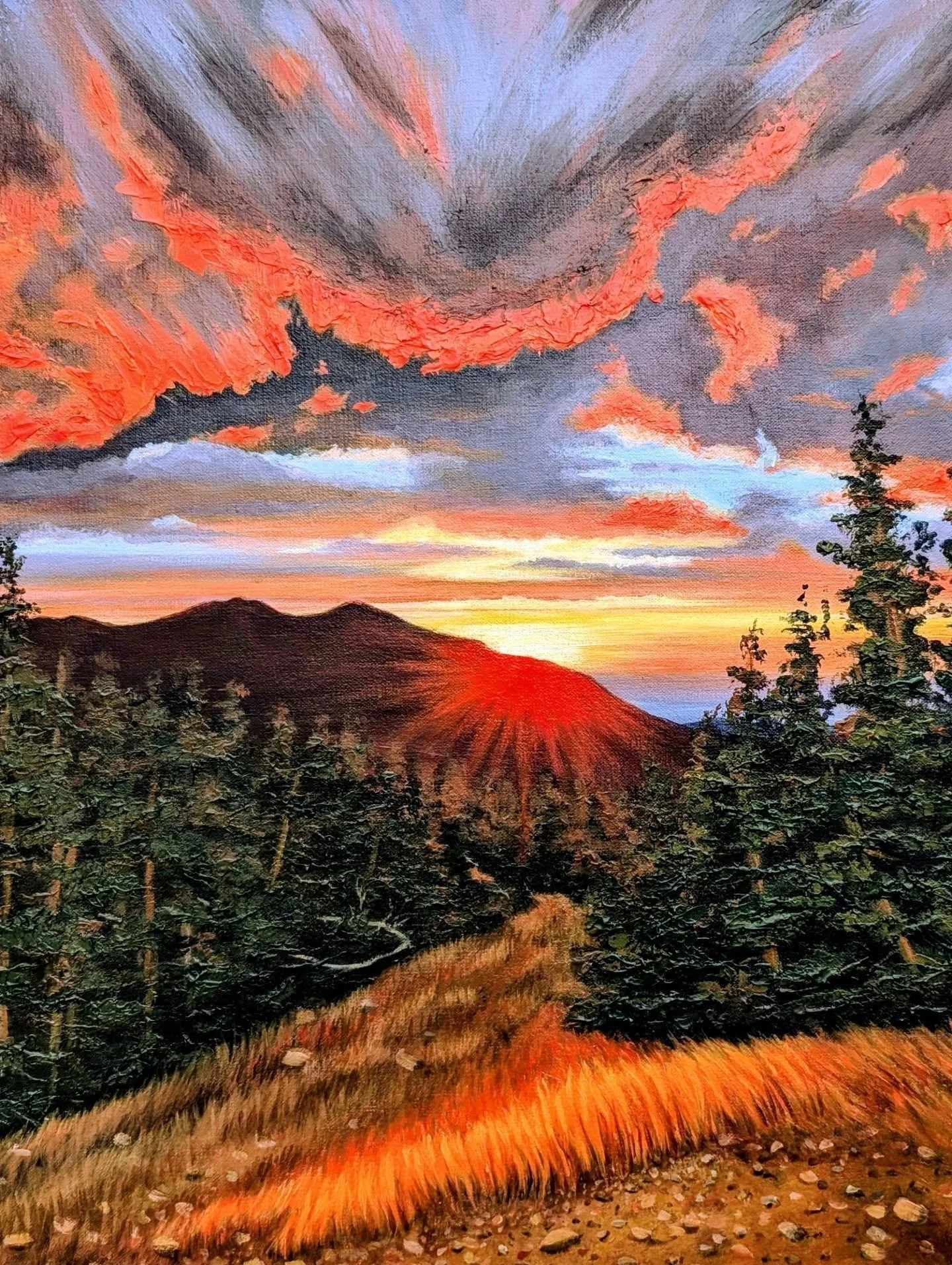 Join me this Sunday at Cameron Methodist Church on Pearl St. from 10:30-2:30pm! I'll be among amazing artists and holiday gifts. I'll have my Longs Peak Canvas Print with me! Can't attend? Browse my website for art prints, stickers, and more!

#acryl